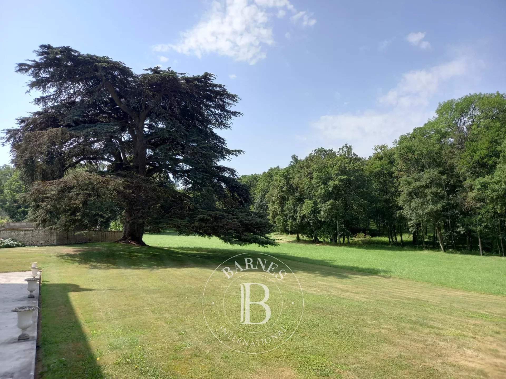 Châtellerault  - Castle 9 Bedrooms - picture 11