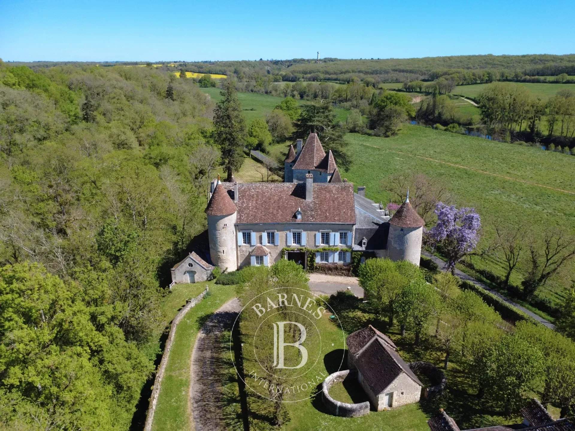 Châtellerault  - Château 9 Pi&egrave;ces 6 Chambres - picture 14