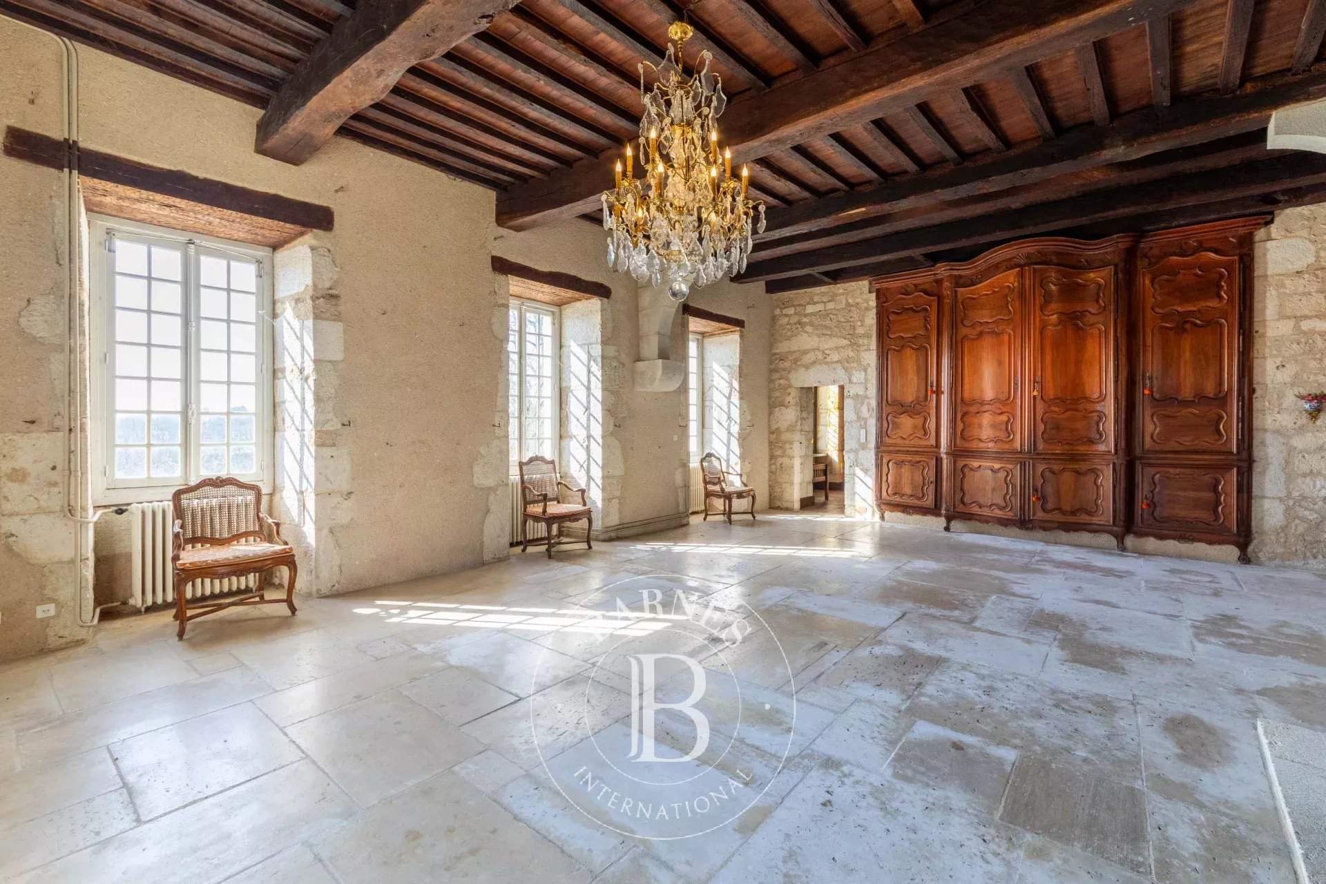Agen  - Château 15 Pièces 5 Chambres - picture 17