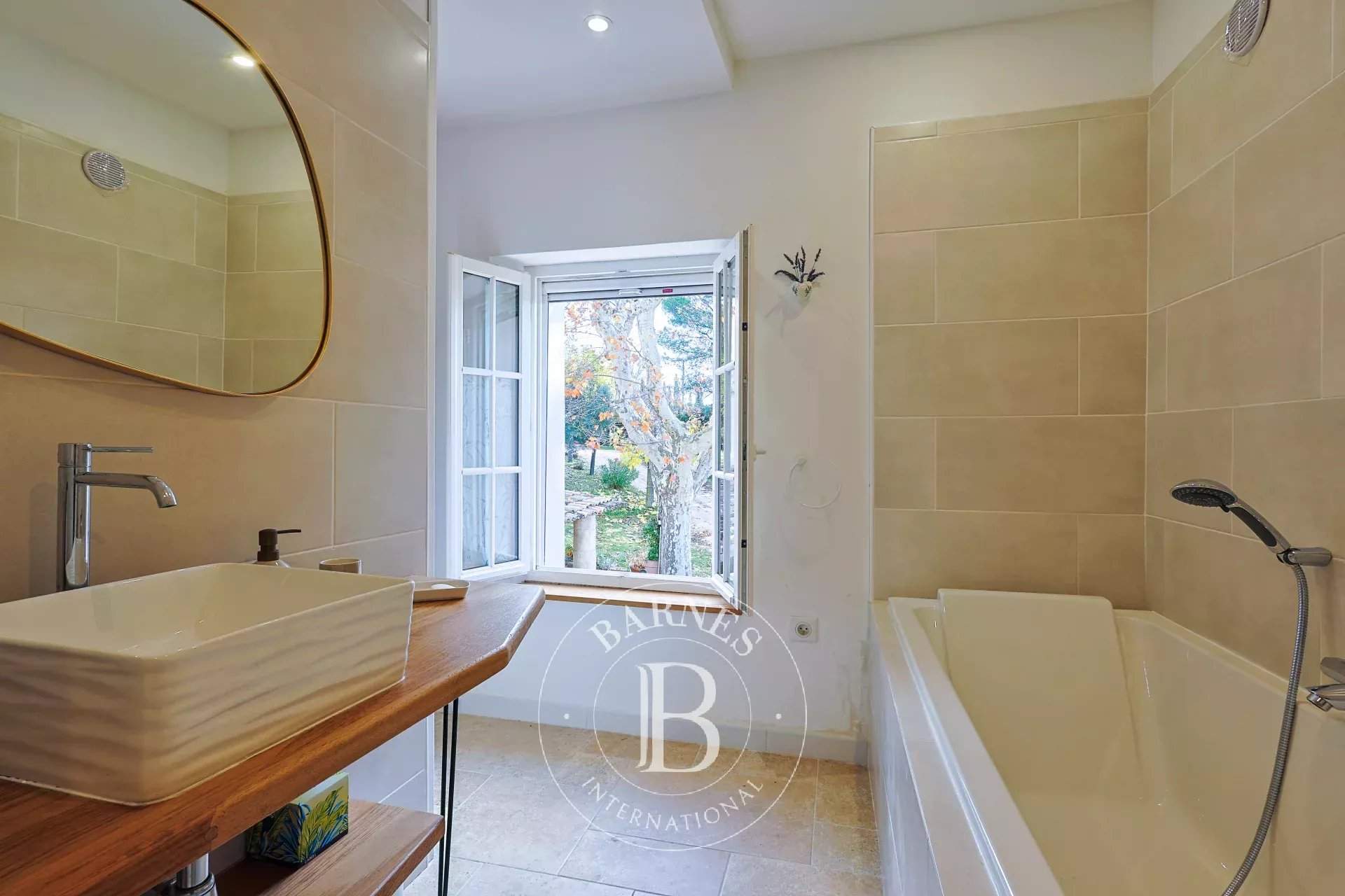 Aups  - Propriété 19 Pi&egrave;ces 11 Chambres - picture 18