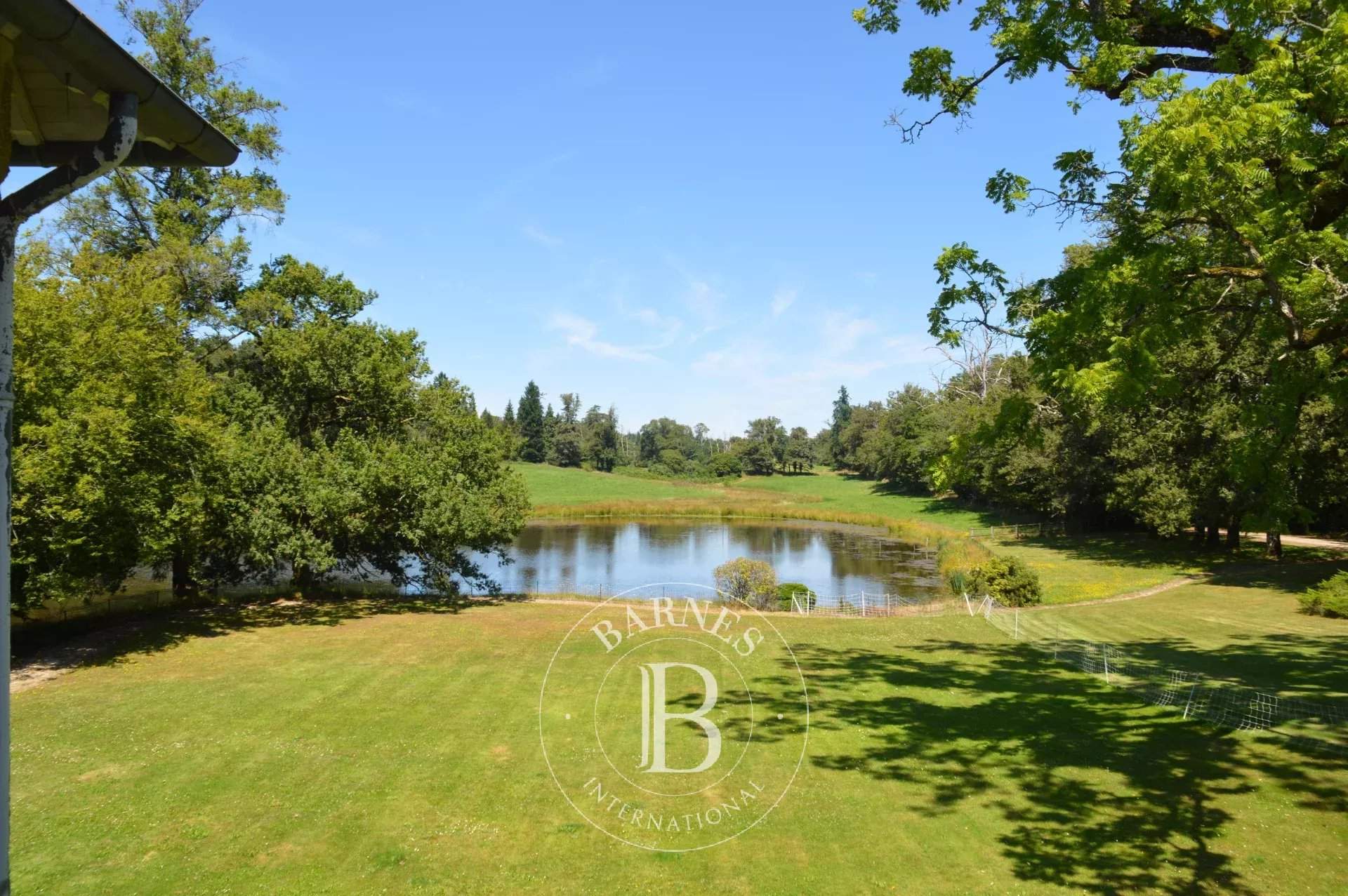 Limoges  - Manoir 15 Pi&egrave;ces 10 Chambres - picture 19