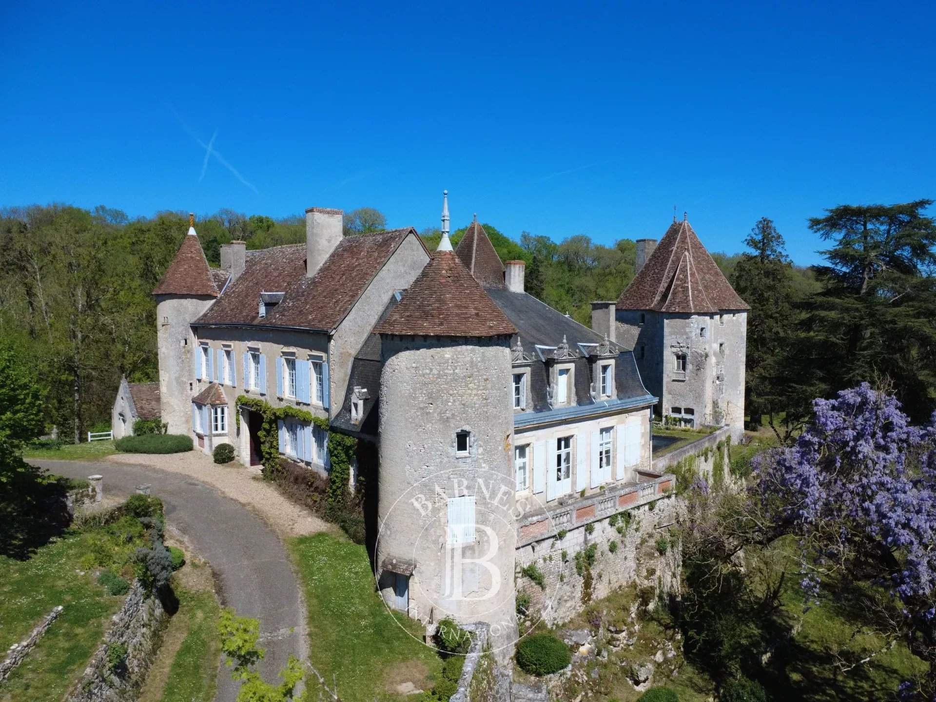 Châtellerault  - Château 9 Pi&egrave;ces 6 Chambres - picture 15