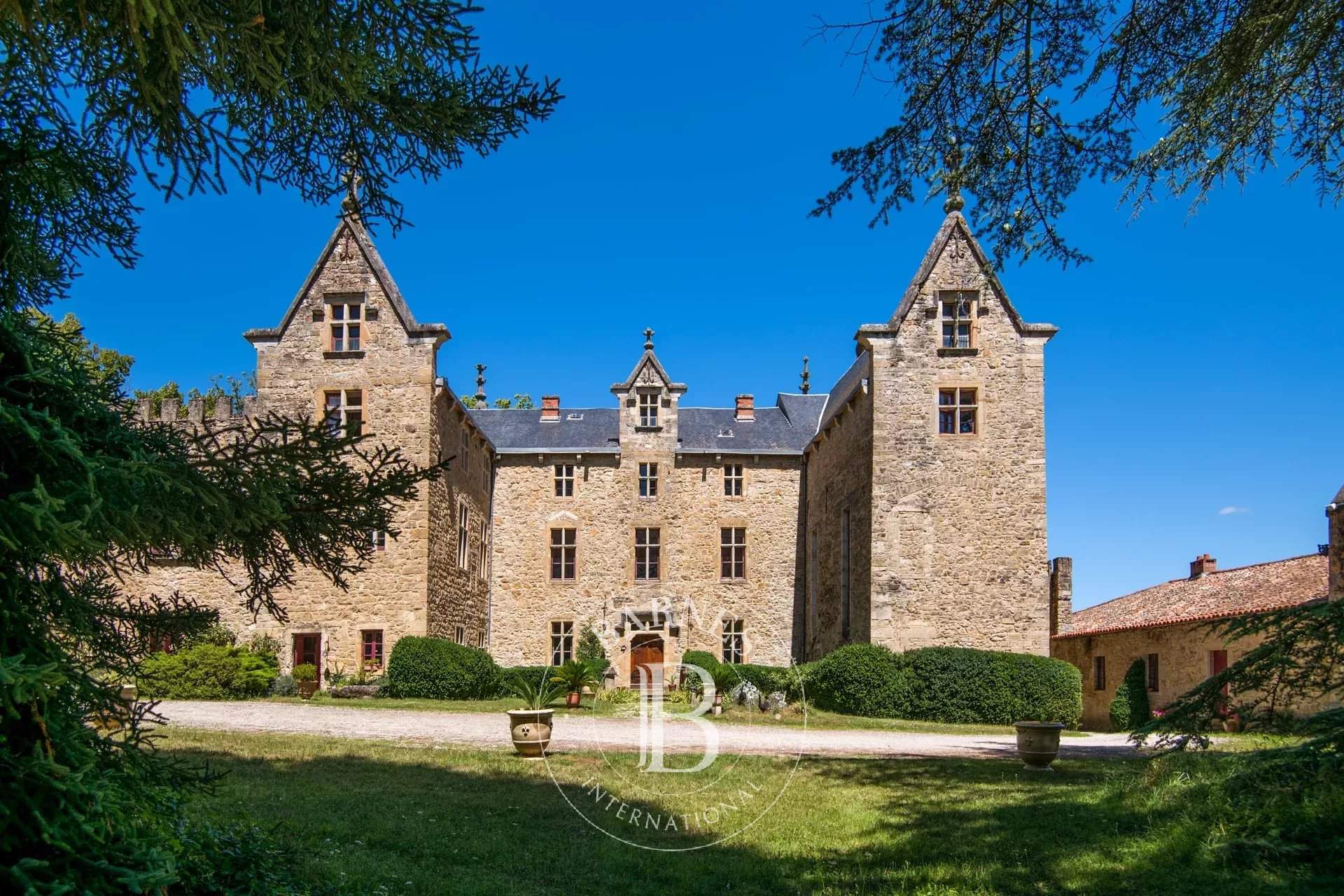 Millau  - Castle 11 Bedrooms - picture 2
