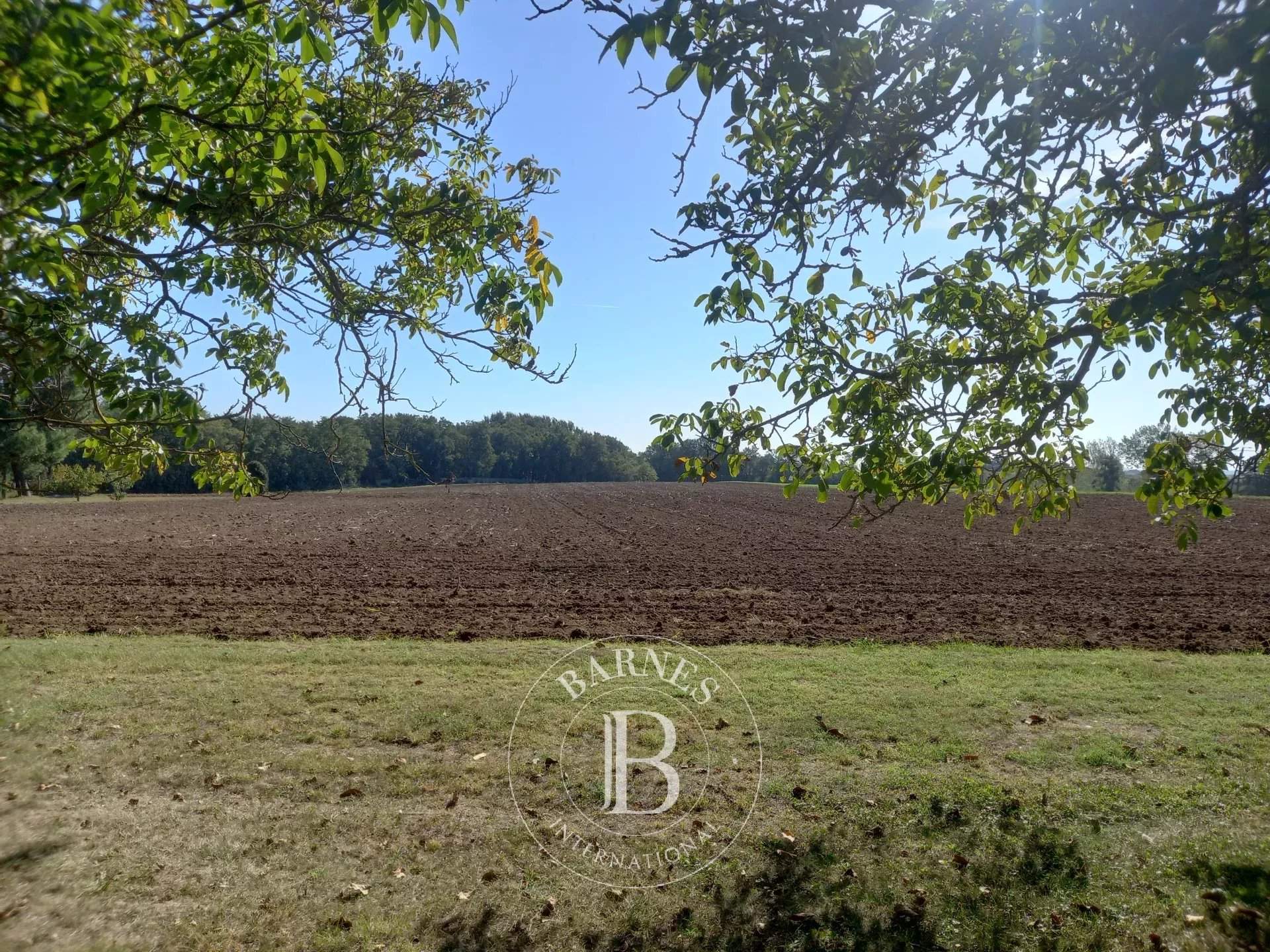 Lencloître  - Manoir 11 Pi&egrave;ces 8 Chambres - picture 12