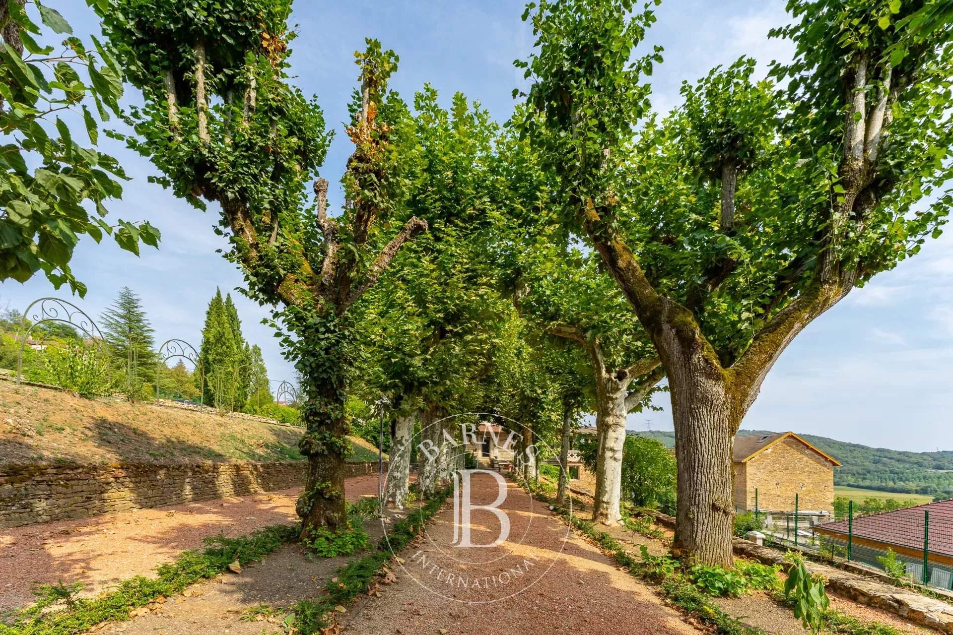 Panossas  - Castle 7 Bedrooms - picture 16