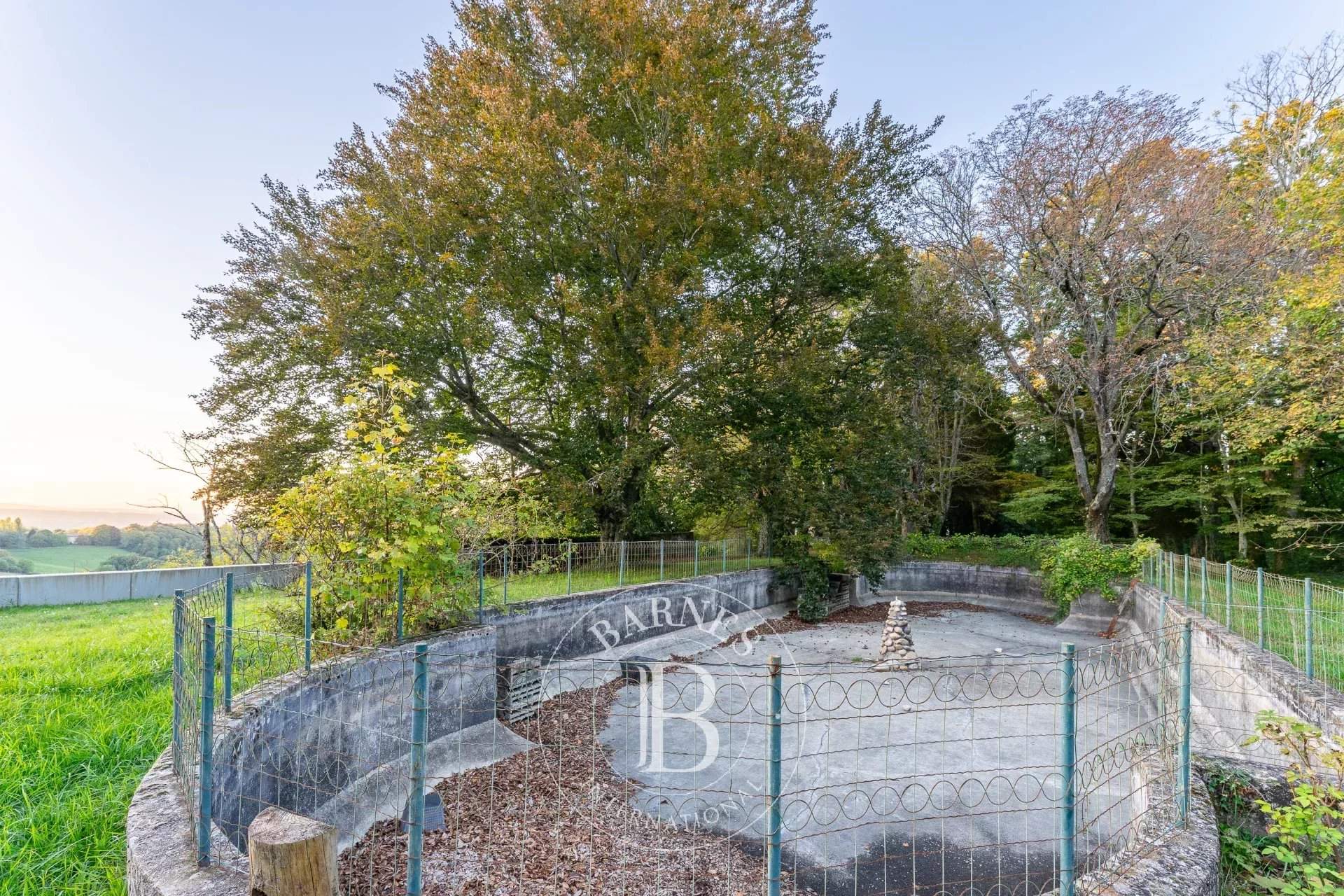 Eyzin-Pinet  - Castle  - picture 12