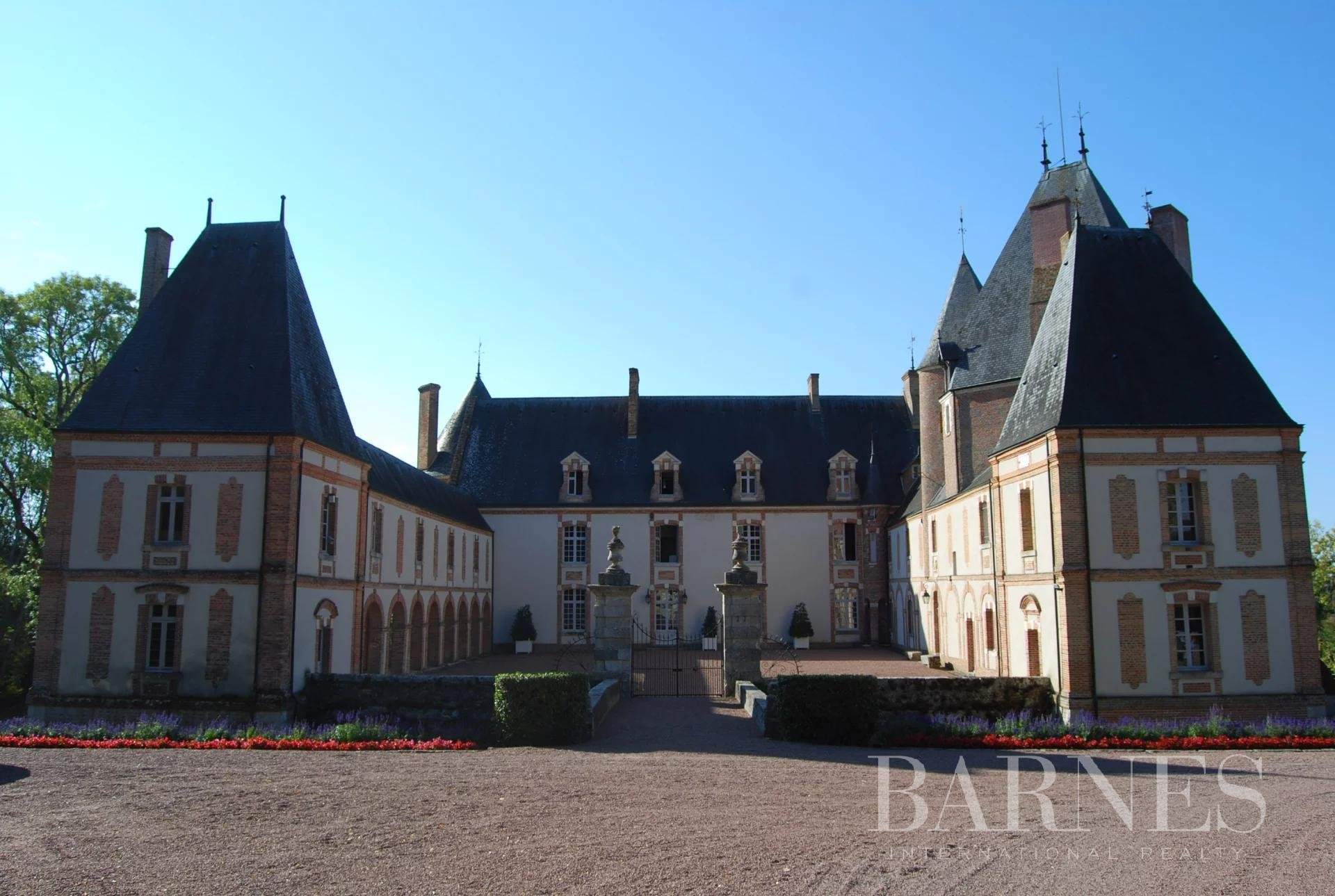 Aubigny-sur-Nère  - Château 30 Pièces - picture 14