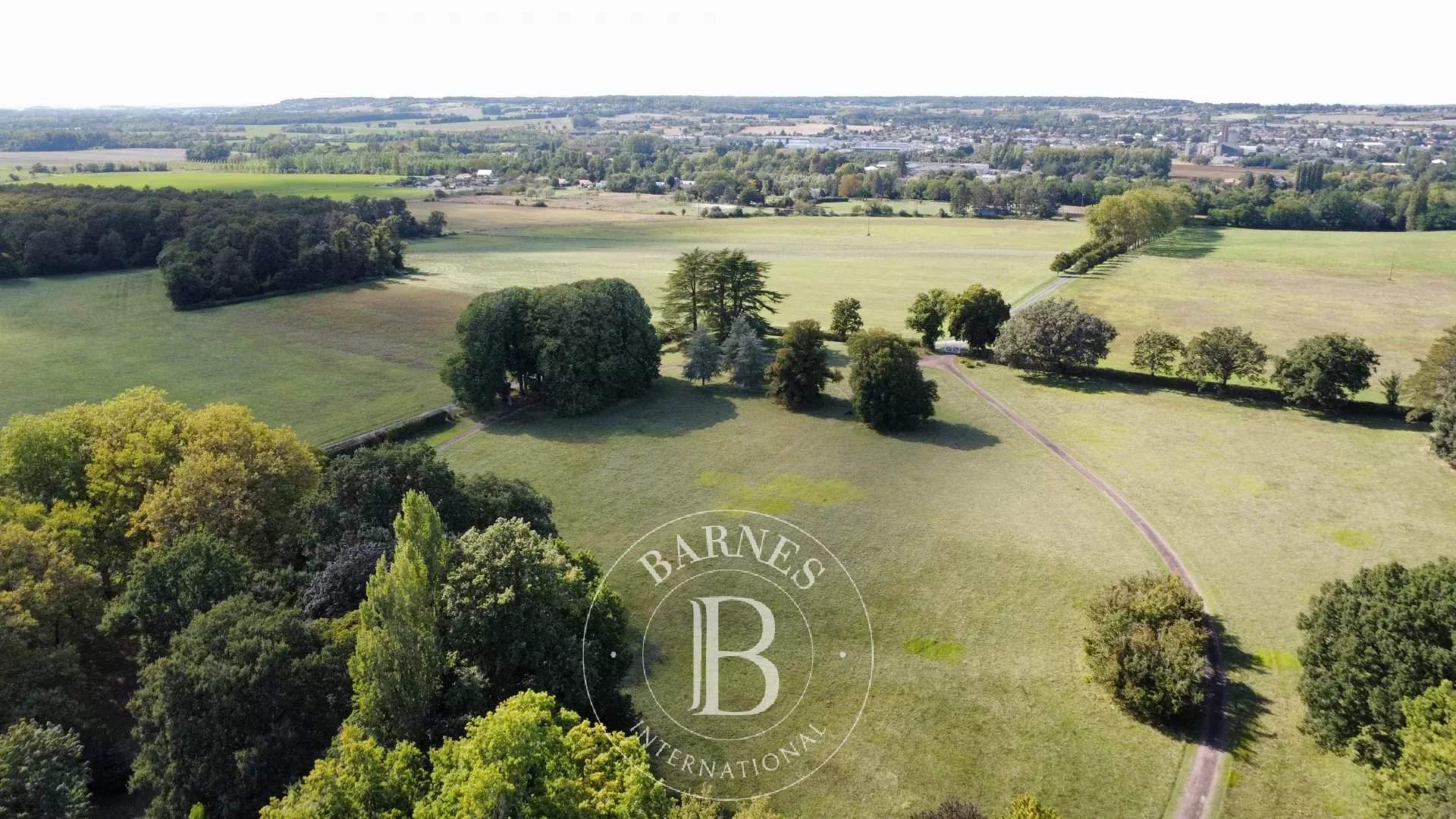 Châtellerault  - Castle 13 Bedrooms - picture 6