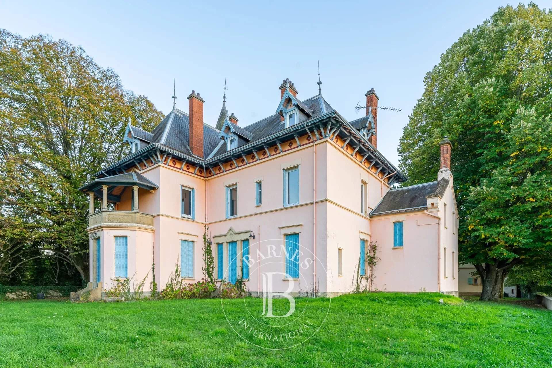 Eyzin-Pinet  - Castle  - picture 14