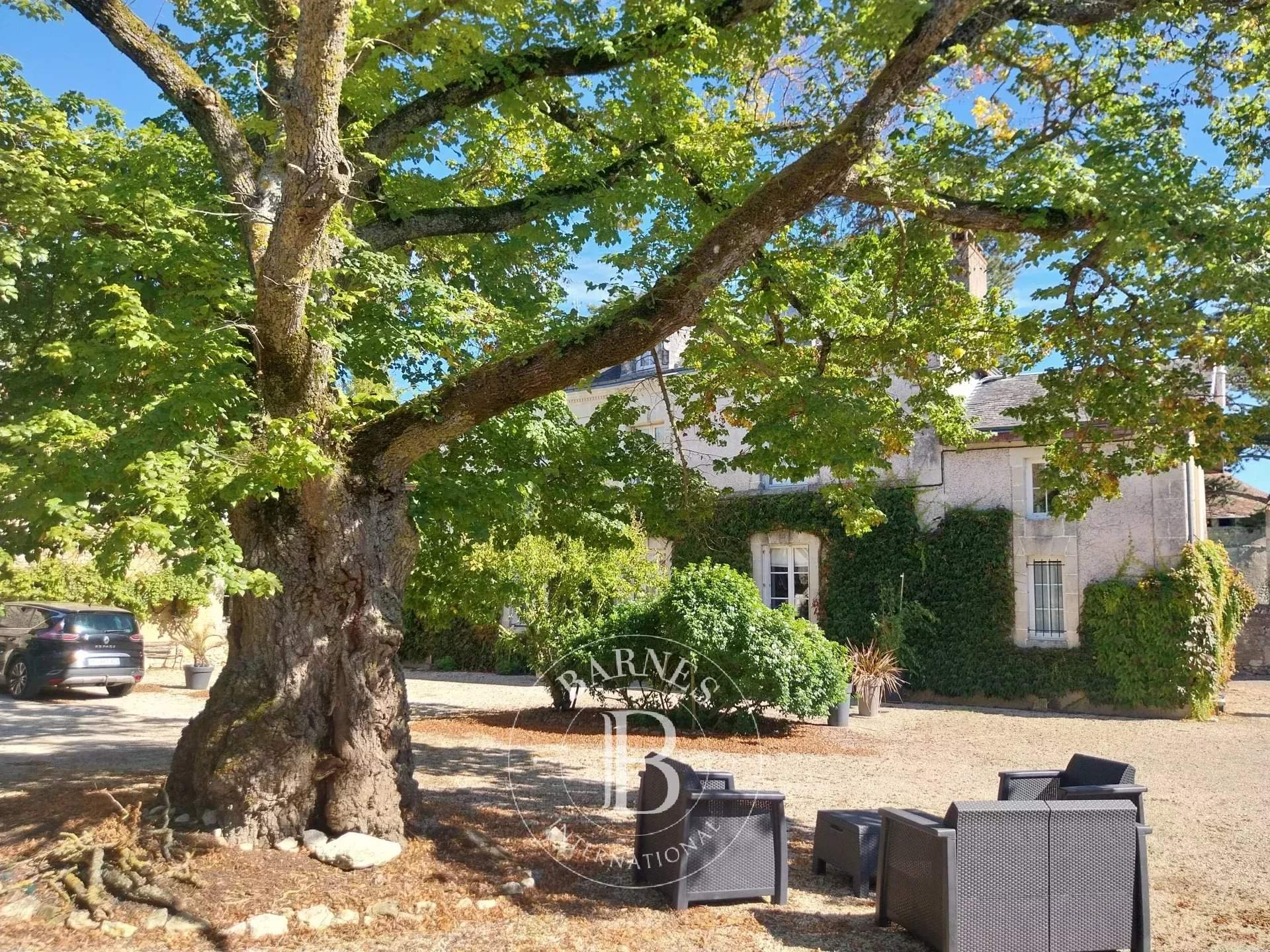 Poitiers  - Manoir 8 Pièces 4 Chambres - picture 18