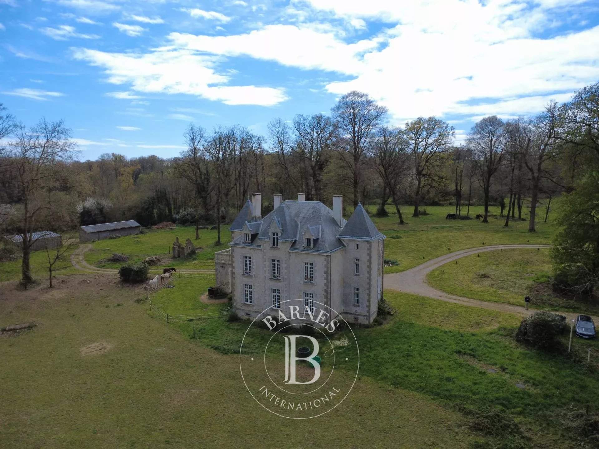 Pouzauges  - Manoir 10 Pi&egrave;ces 5 Chambres - picture 3