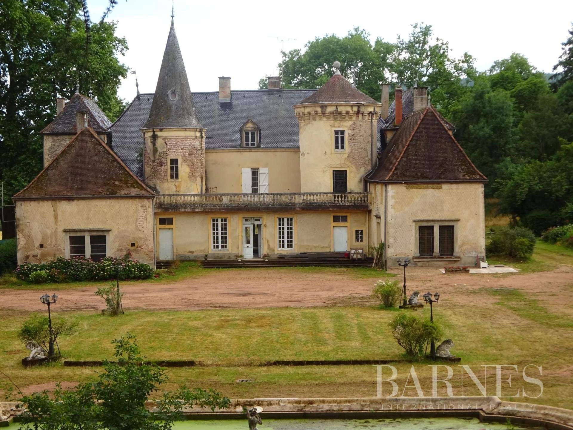 Charolles  - Château 21 Pièces 9 Chambres - picture 3