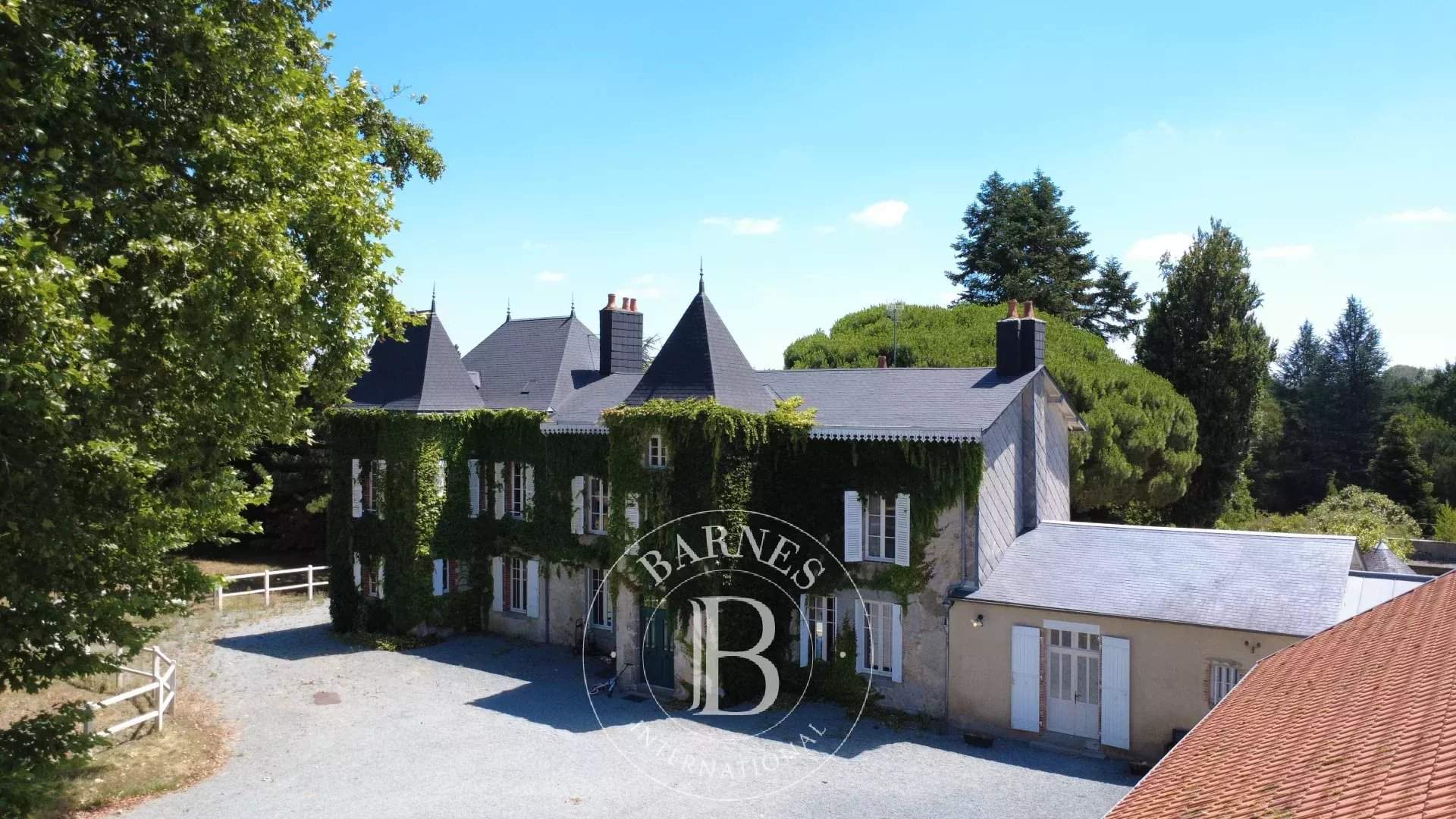 Pouzauges  - Manoir 10 Pi&egrave;ces 5 Chambres - picture 4