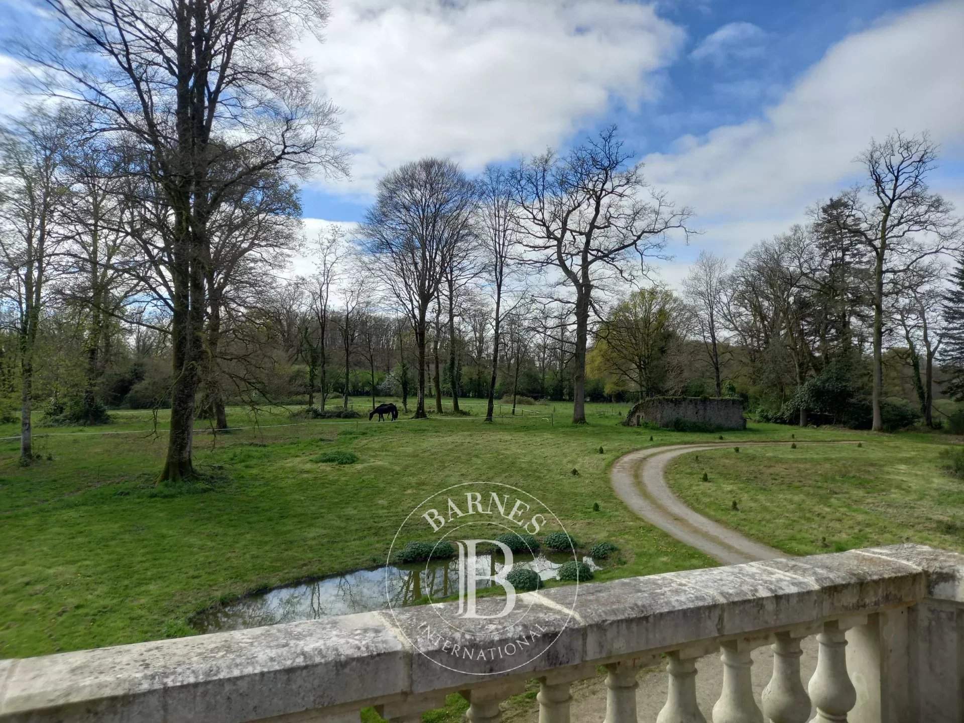 Pouzauges  - Manoir 10 Pi&egrave;ces 5 Chambres - picture 18