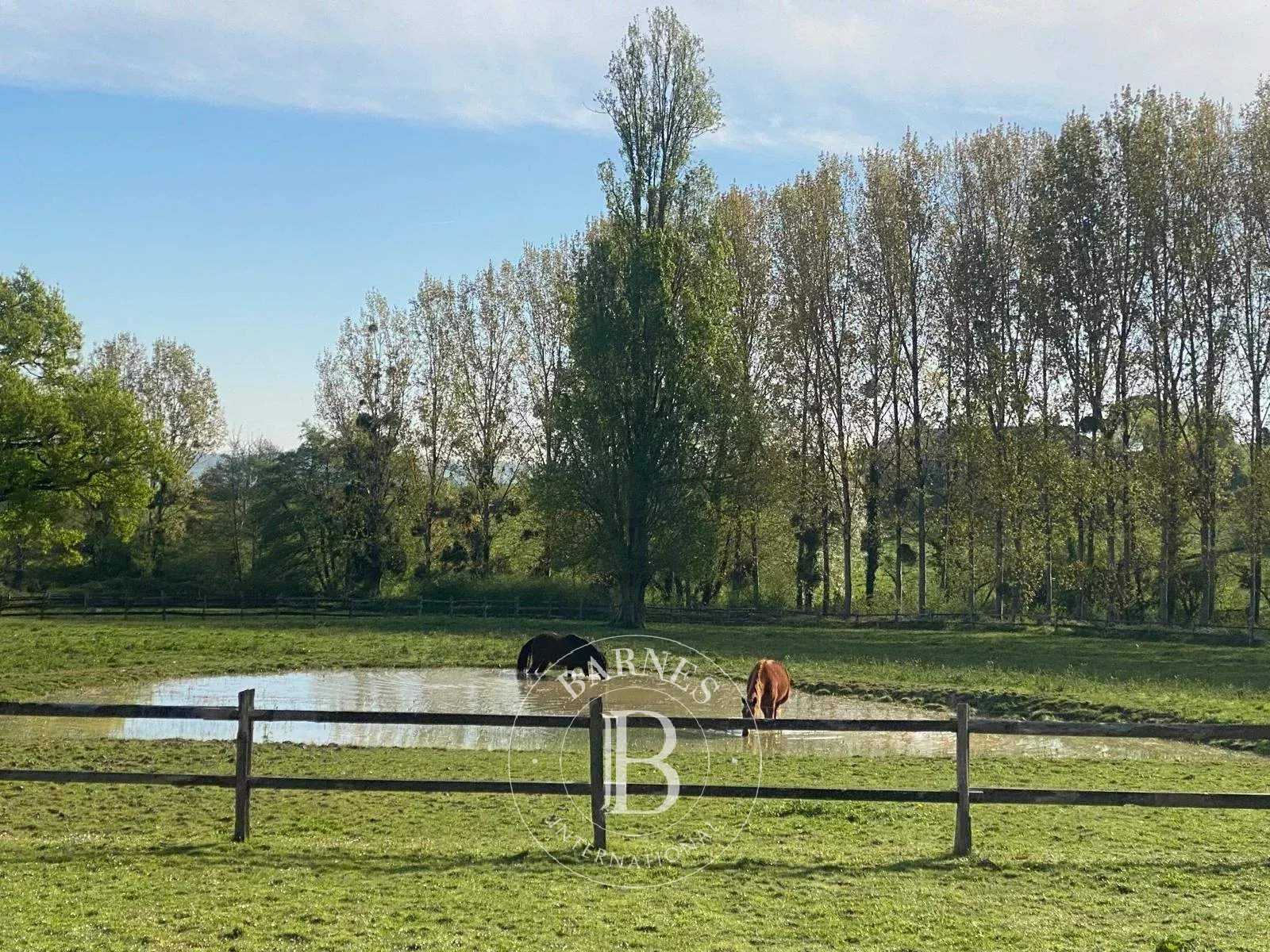 La Roche-Posay  - Maison 8 Pi&egrave;ces 6 Chambres - picture 2