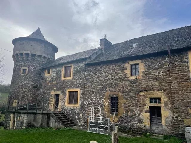 Espalion  - Castle  - picture 17