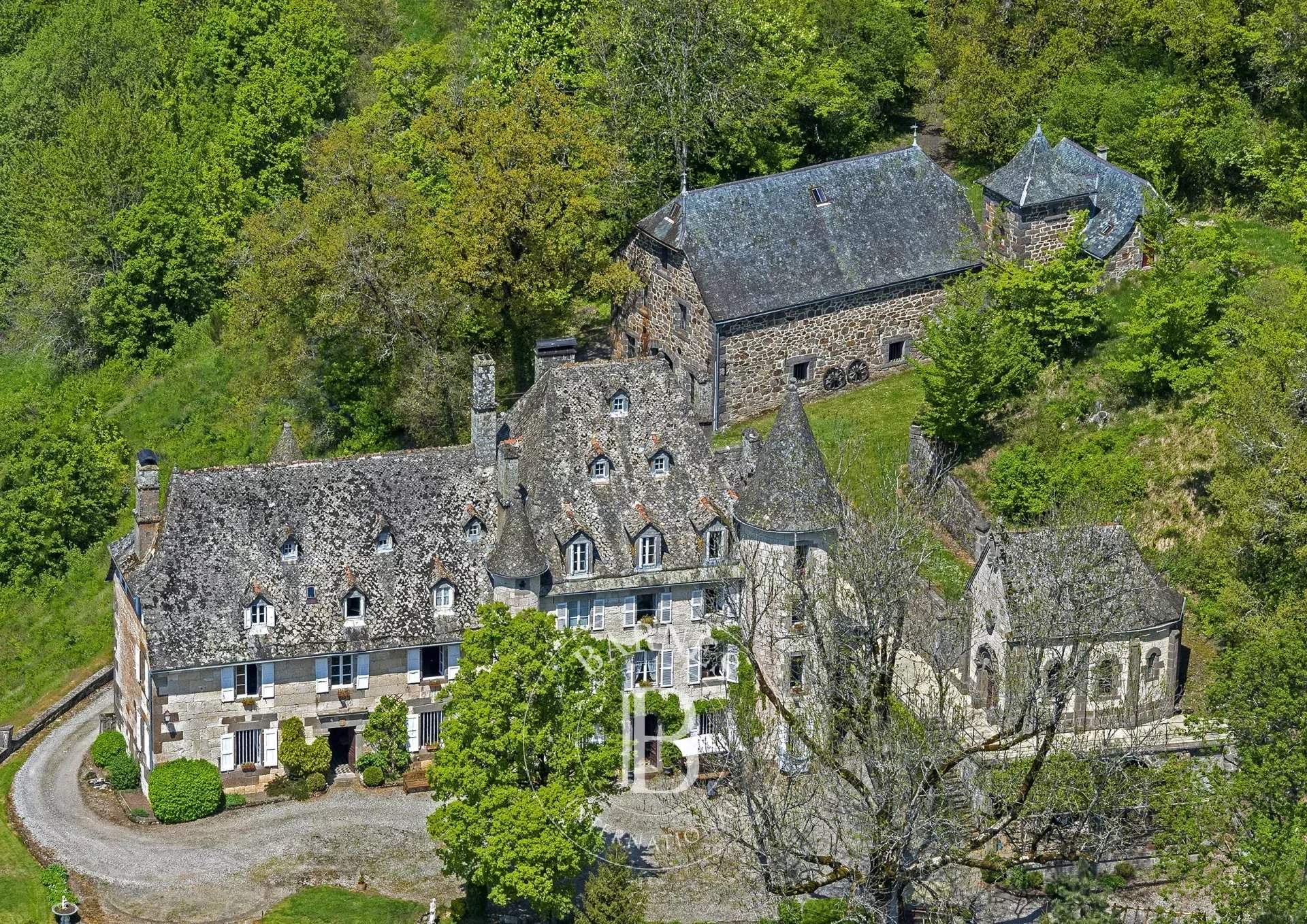 Aurillac  - Manoir 20 Pi&egrave;ces 11 Chambres - picture 1