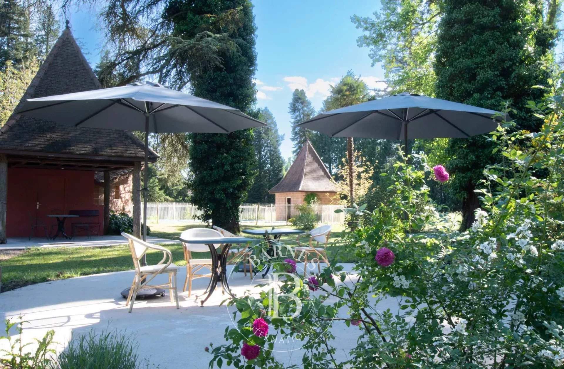 Sarlat-la-Canéda  - Château 15 Pi&egrave;ces 11 Chambres - picture 4