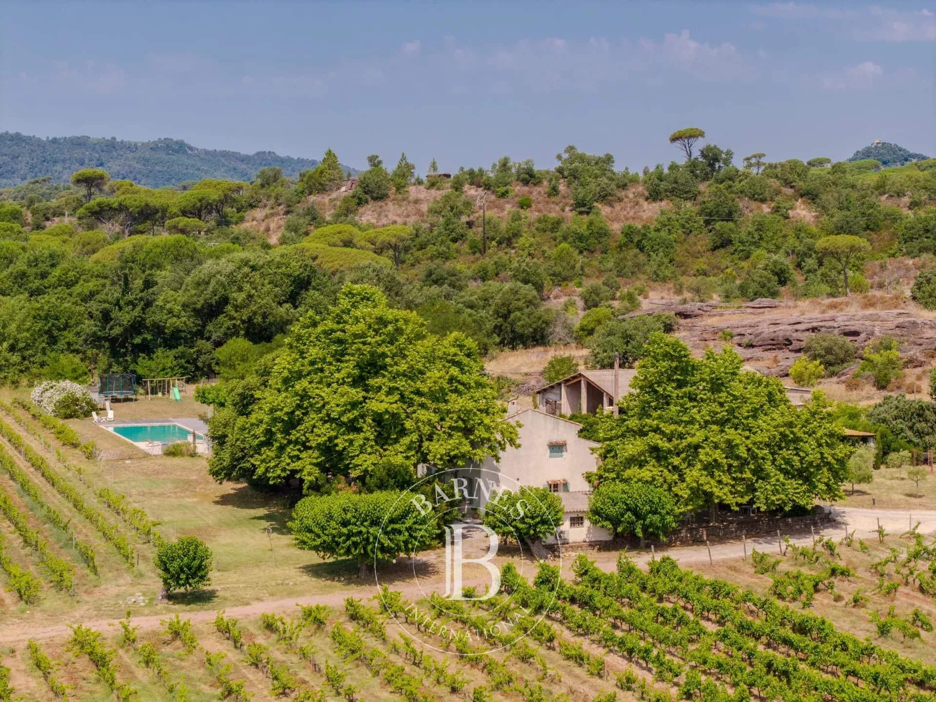 Vidauban  - Vineyard property 8 Bedrooms - picture 4