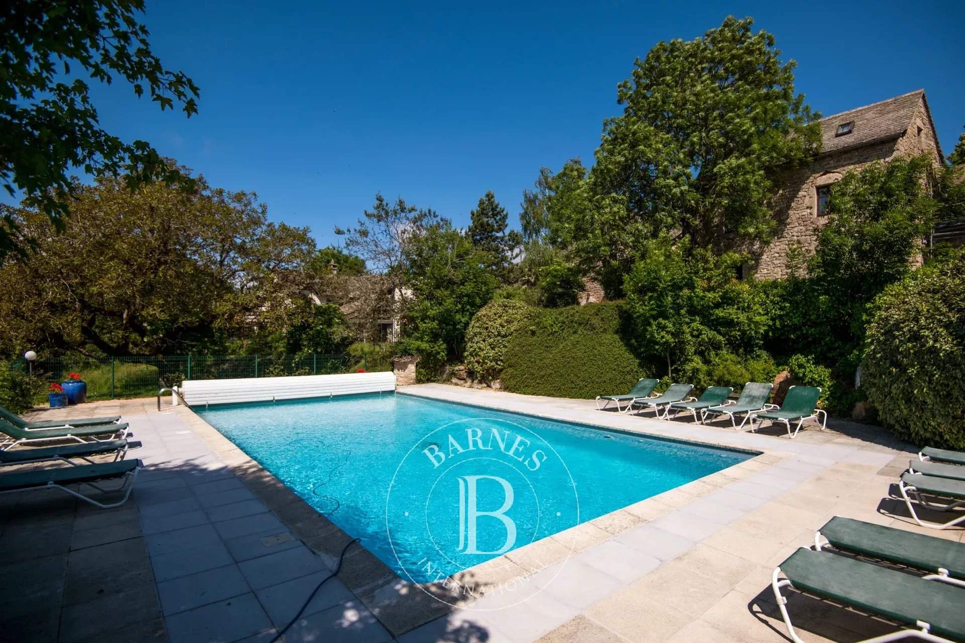 Sévérac-le-Château  - Property 12 Bedrooms - picture 3