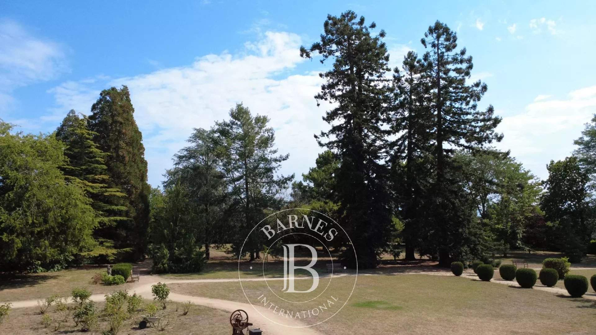 Chinon  - Château 17 Pi&egrave;ces 9 Chambres - picture 8