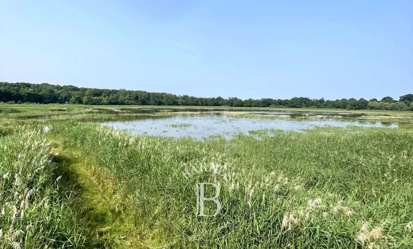 Mionnay  - Game reserve  - picture 6