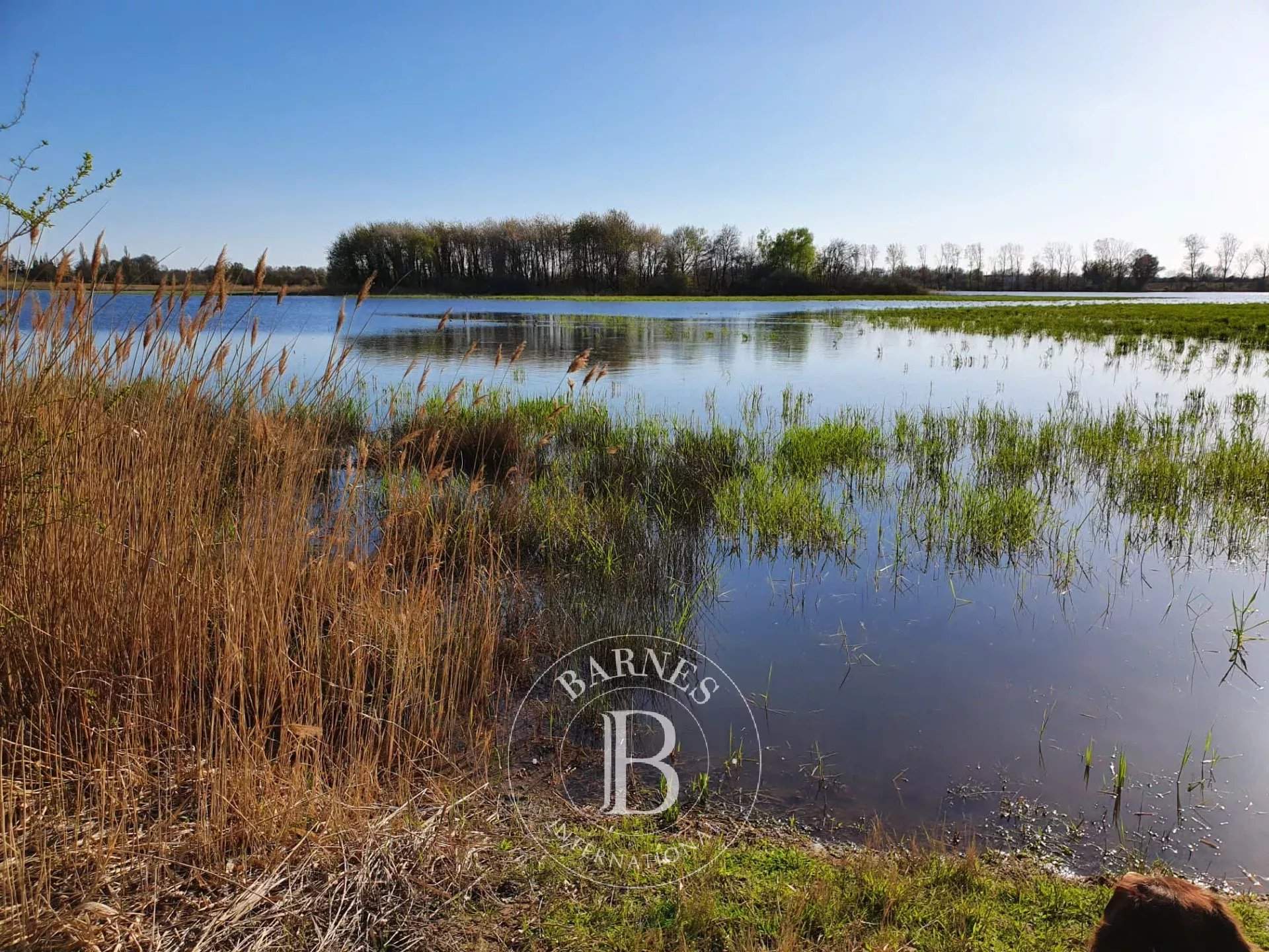 Villars-les-Dombes  - Property  - picture 2