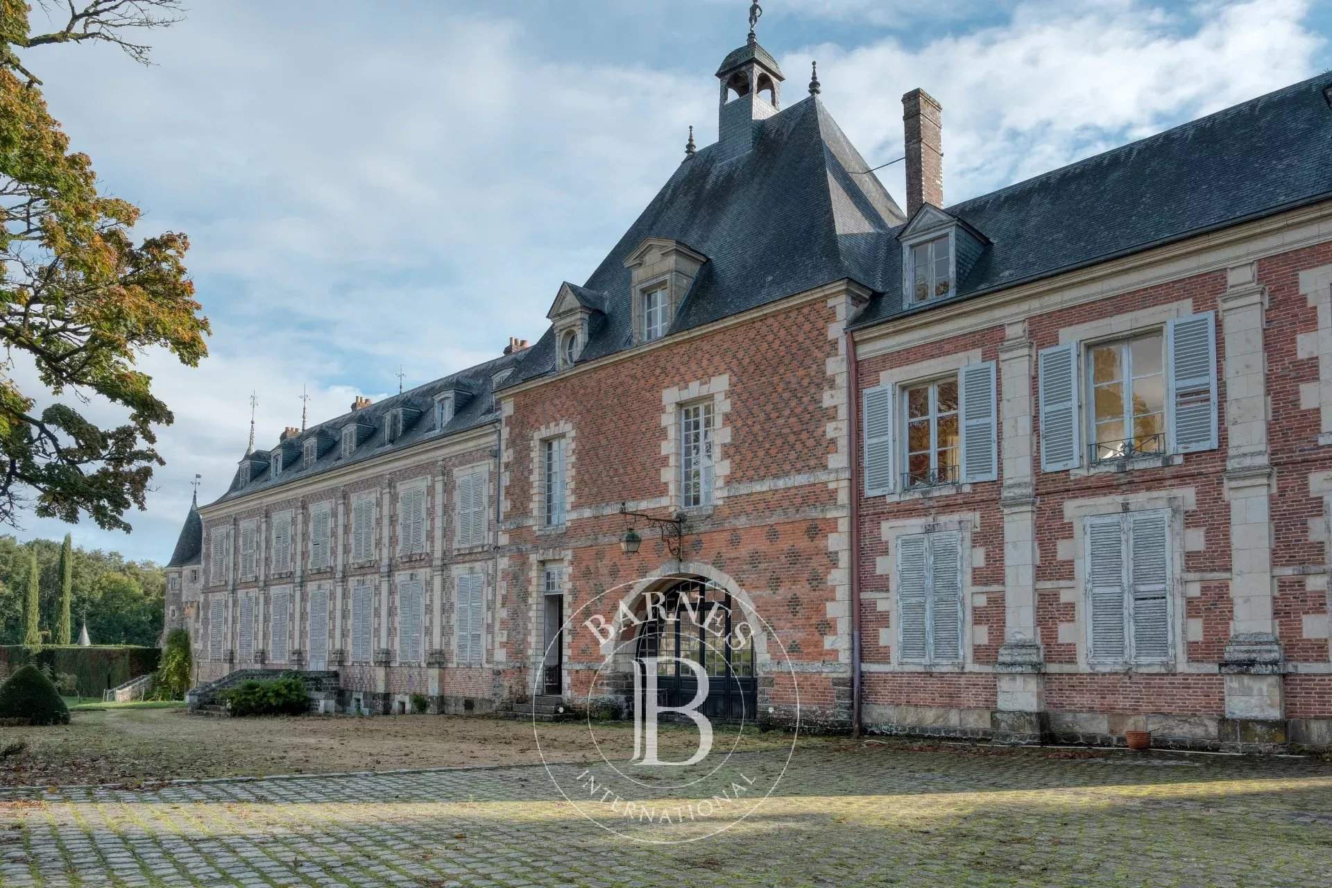 Frazé  - Château  - picture 7