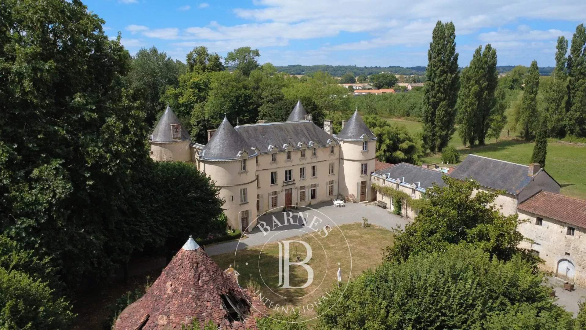 La Châtaigneraie  - Castillo  - picture 8