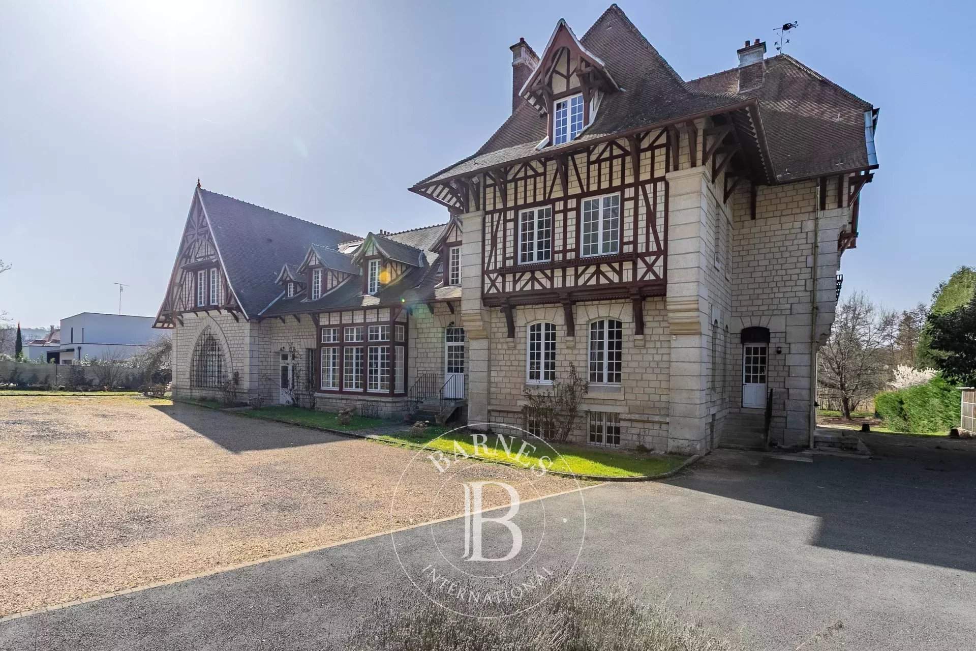 Vieux-Moulin  - Manoir 30 Pi&egrave;ces - picture 3