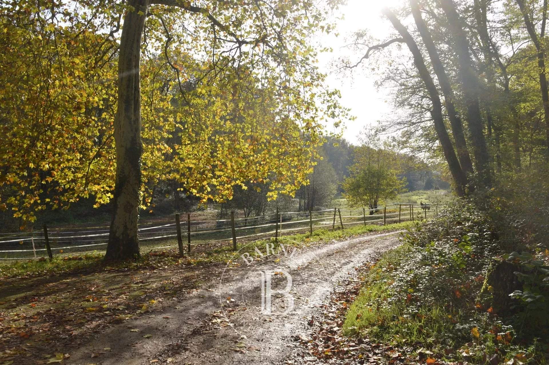 Poitiers  - Château 22 Pièces 12 Chambres - picture 9