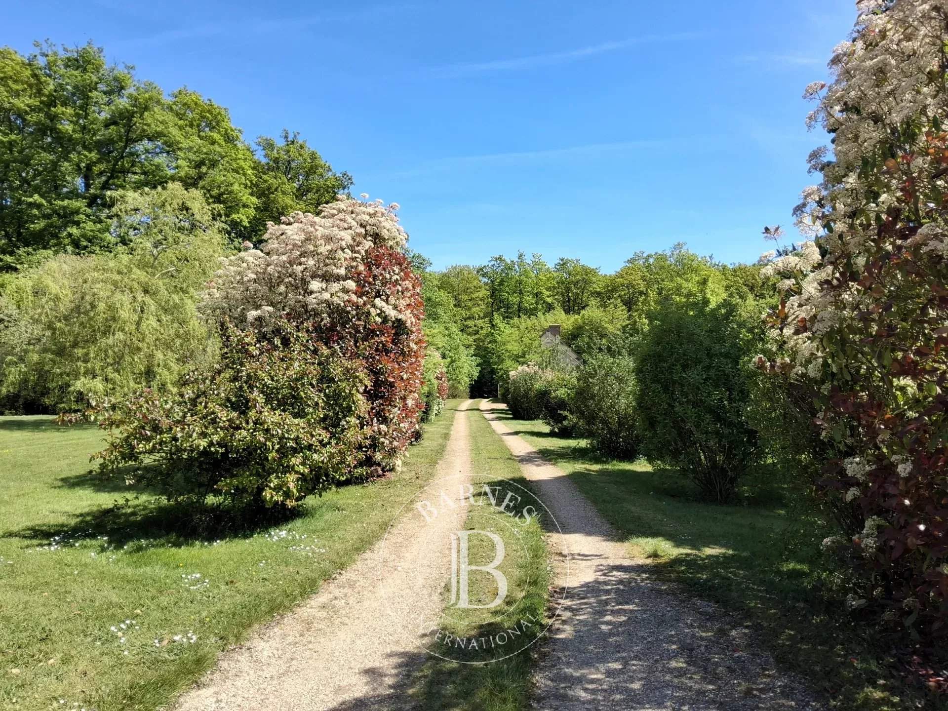 Longny les Villages  - Maison 11 Pi&egrave;ces 7 Chambres - picture 4