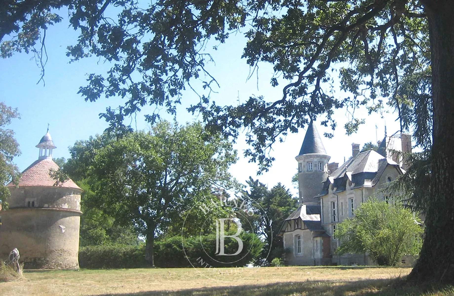 Mareuil-sur-Lay-Dissais  - Castle 16 Bedrooms - picture 3