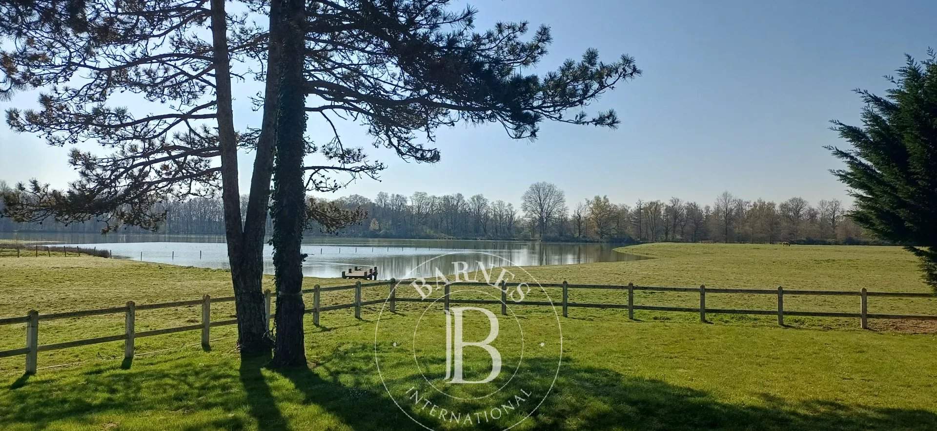 Villars-les-Dombes  - Domaine équestre 12 Pi&egrave;ces 7 Chambres - picture 11