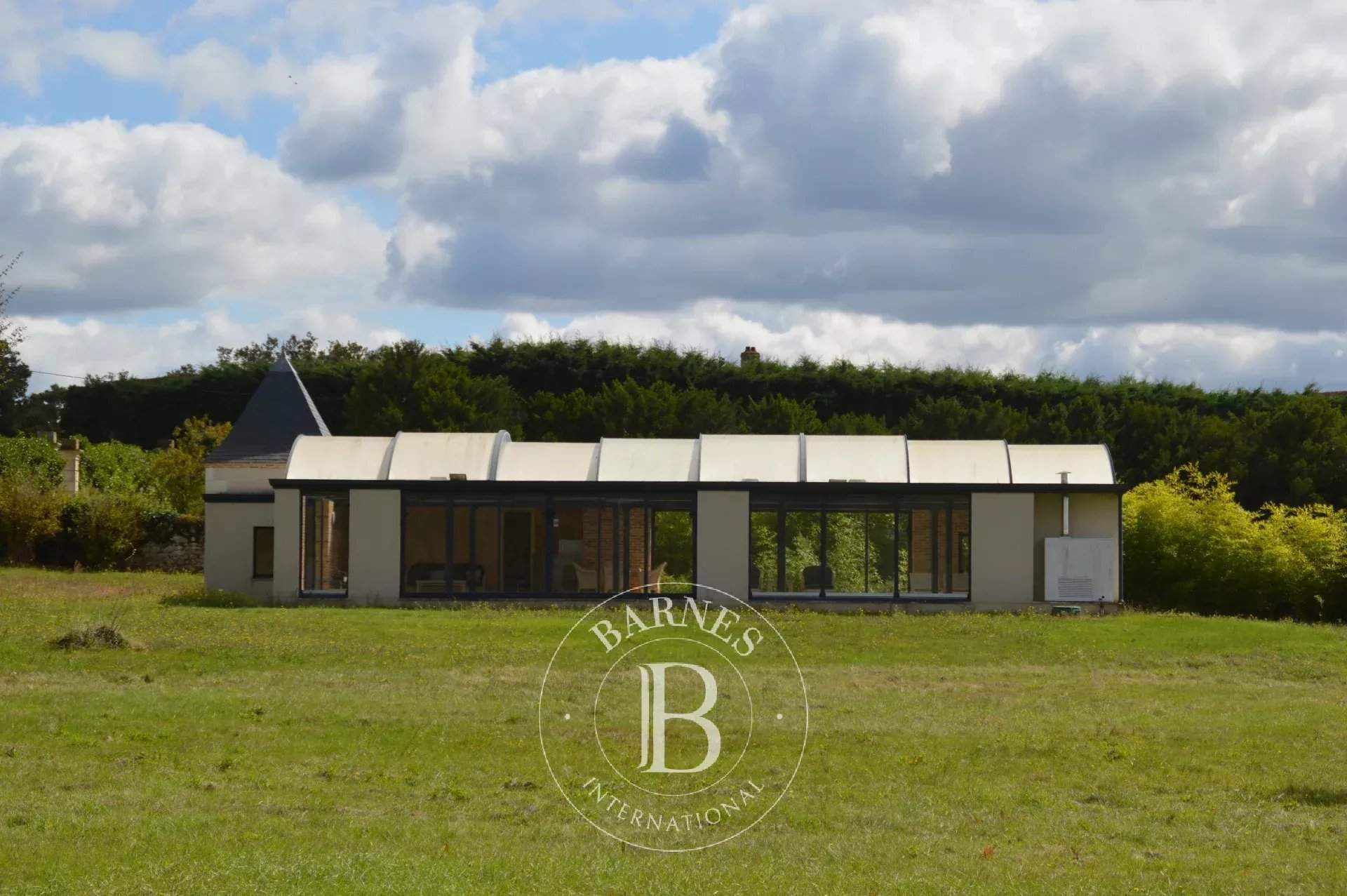 La Trimouille  - Manor house 12 Bedrooms - picture 7