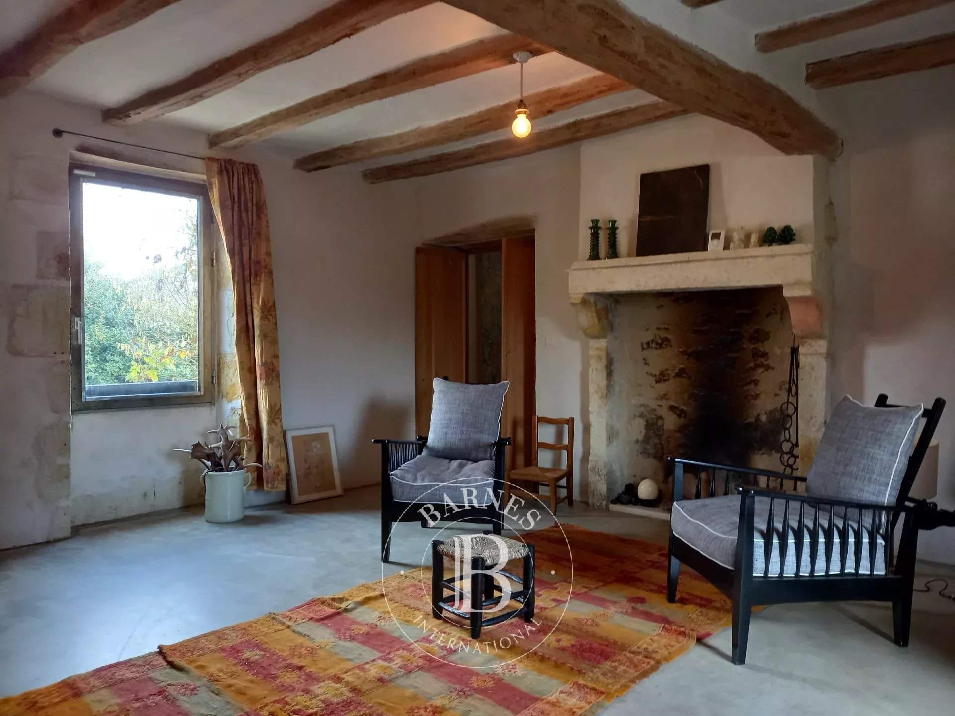 La Roche-Posay  - Maison 8 Pi&egrave;ces 6 Chambres - picture 16