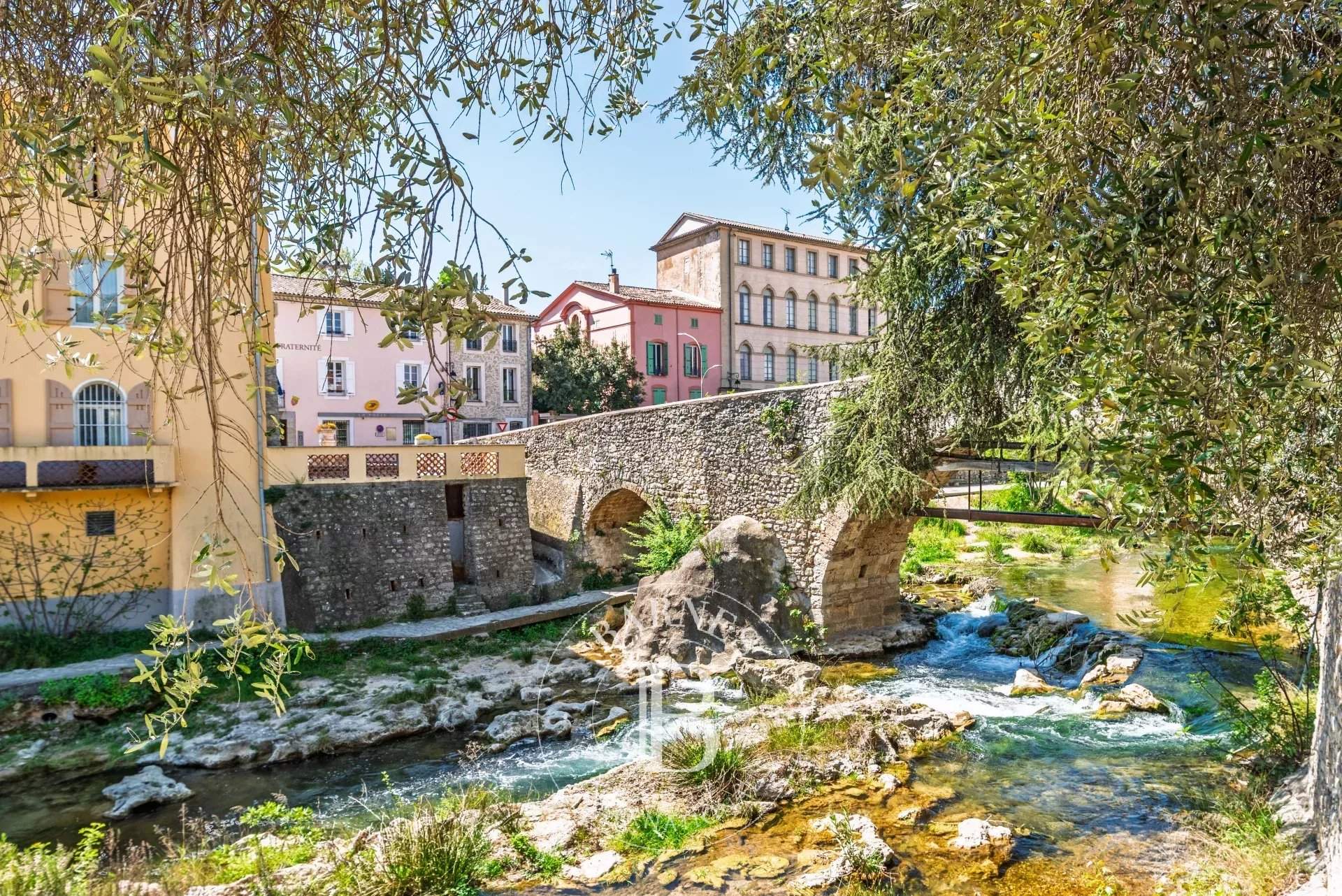 Trans-en-Provence  - Hôtel particulier 10 Pi&egrave;ces 6 Chambres - picture 2
