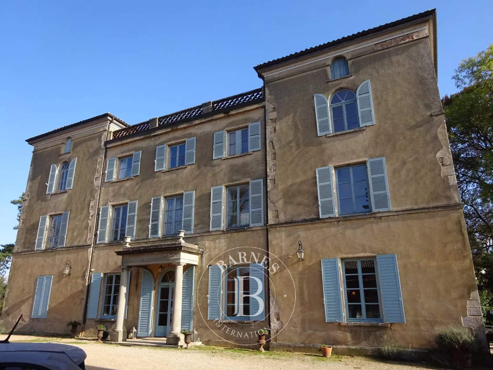 Mâcon  - Château 15 Pièces 9 Chambres - picture 4