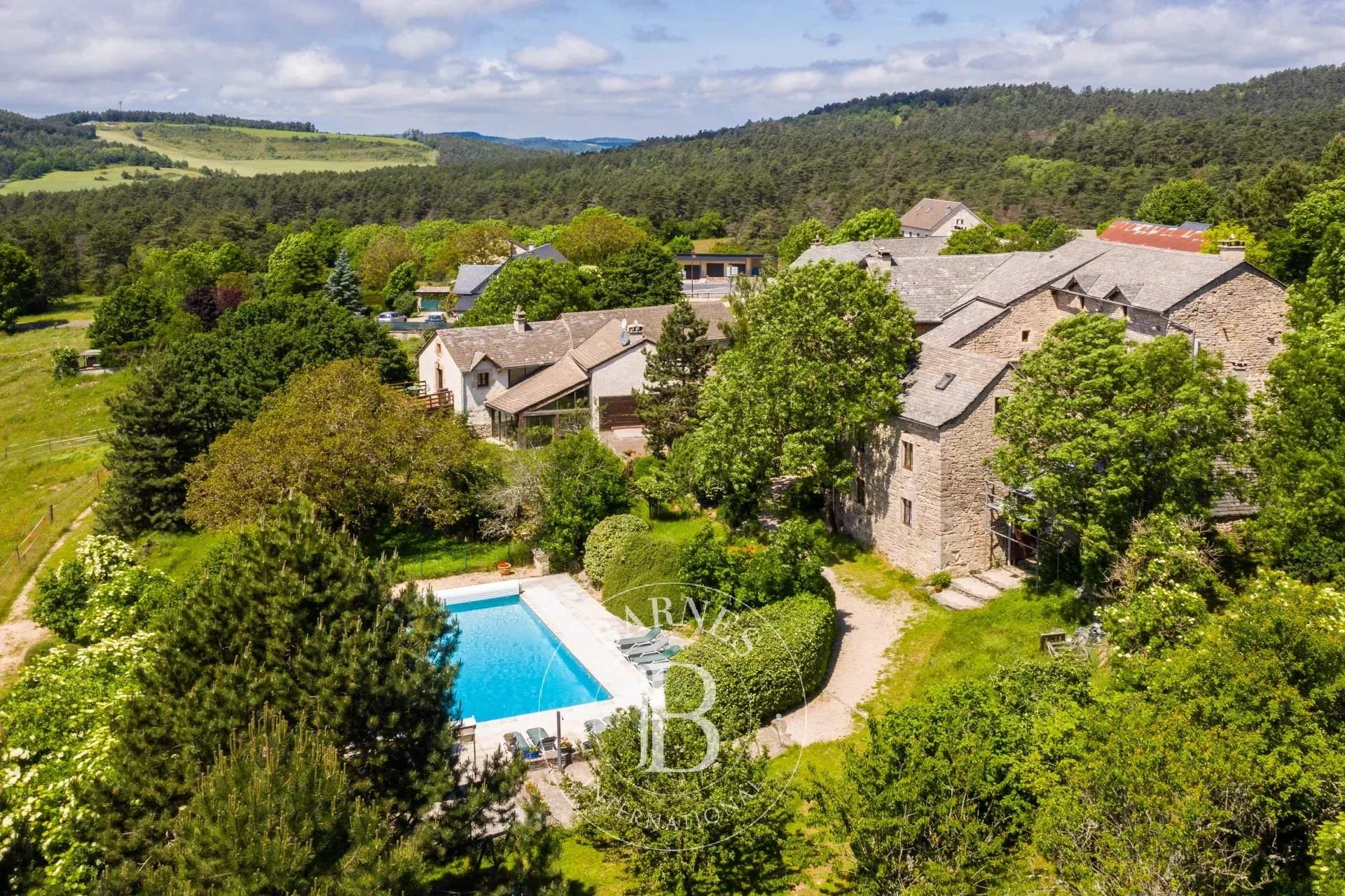 Sévérac-le-Château  - Property 12 Bedrooms - picture 6