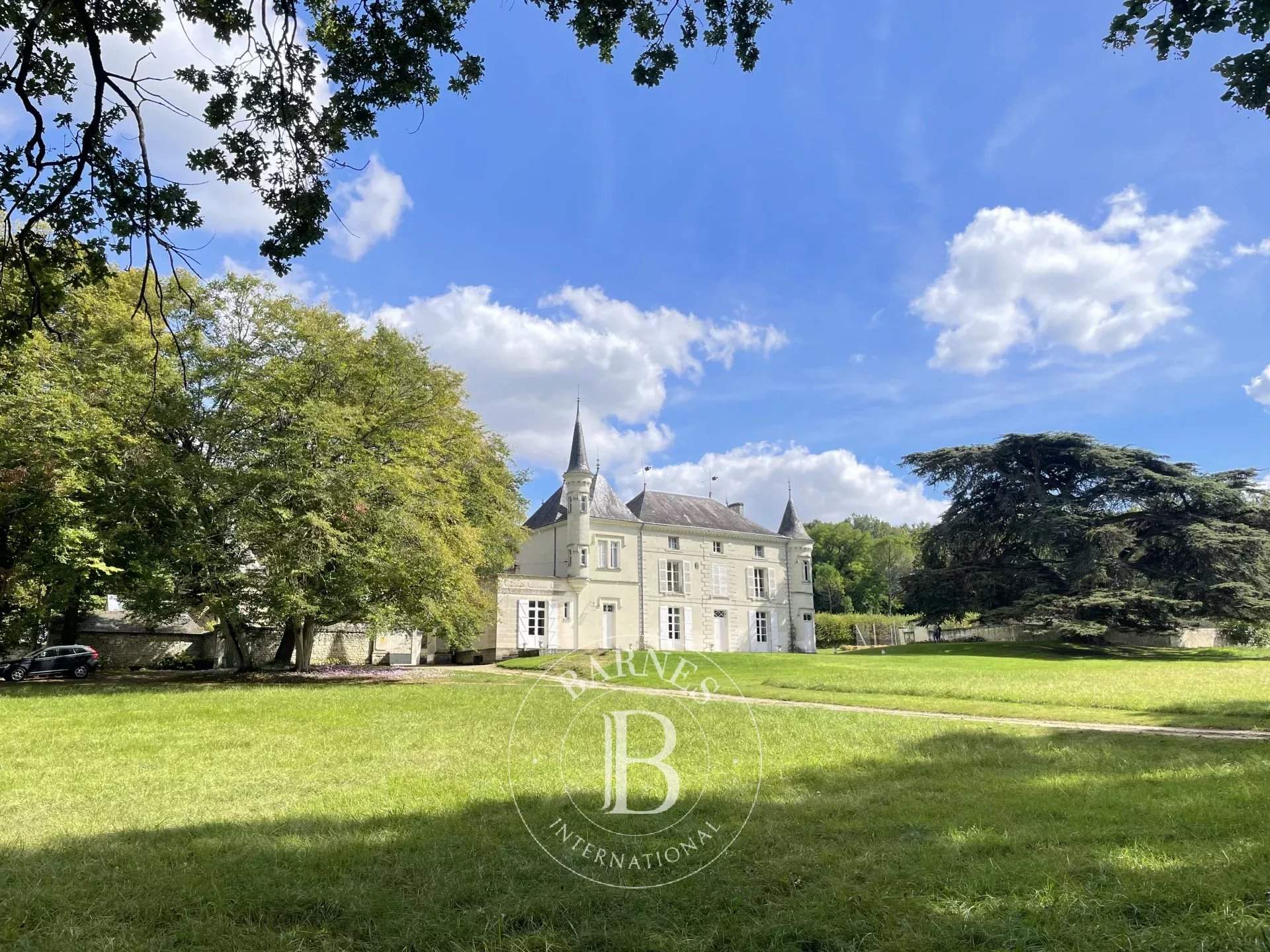 Châtellerault  - Castle 9 Bedrooms - picture 1