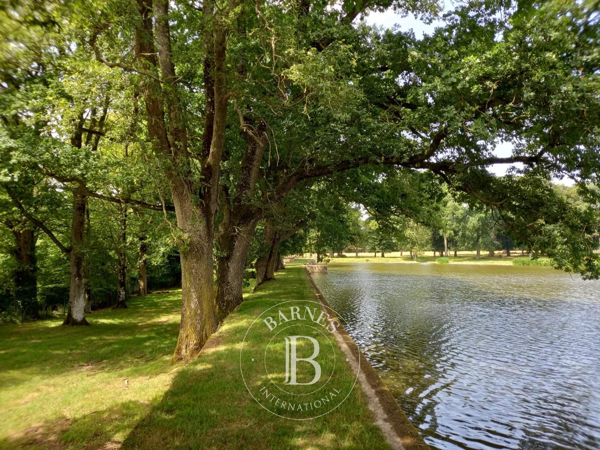 Nantes  - Château 18 Pièces 7 Chambres - picture 14