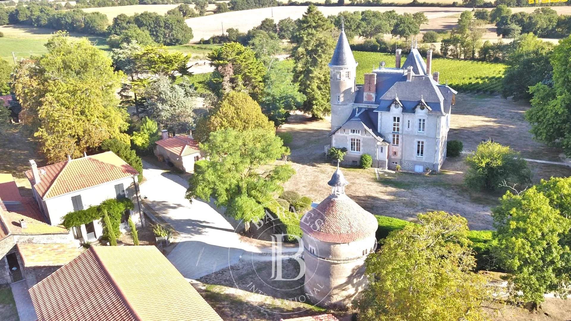 Mareuil-sur-Lay-Dissais  - Castle 16 Bedrooms - picture 1