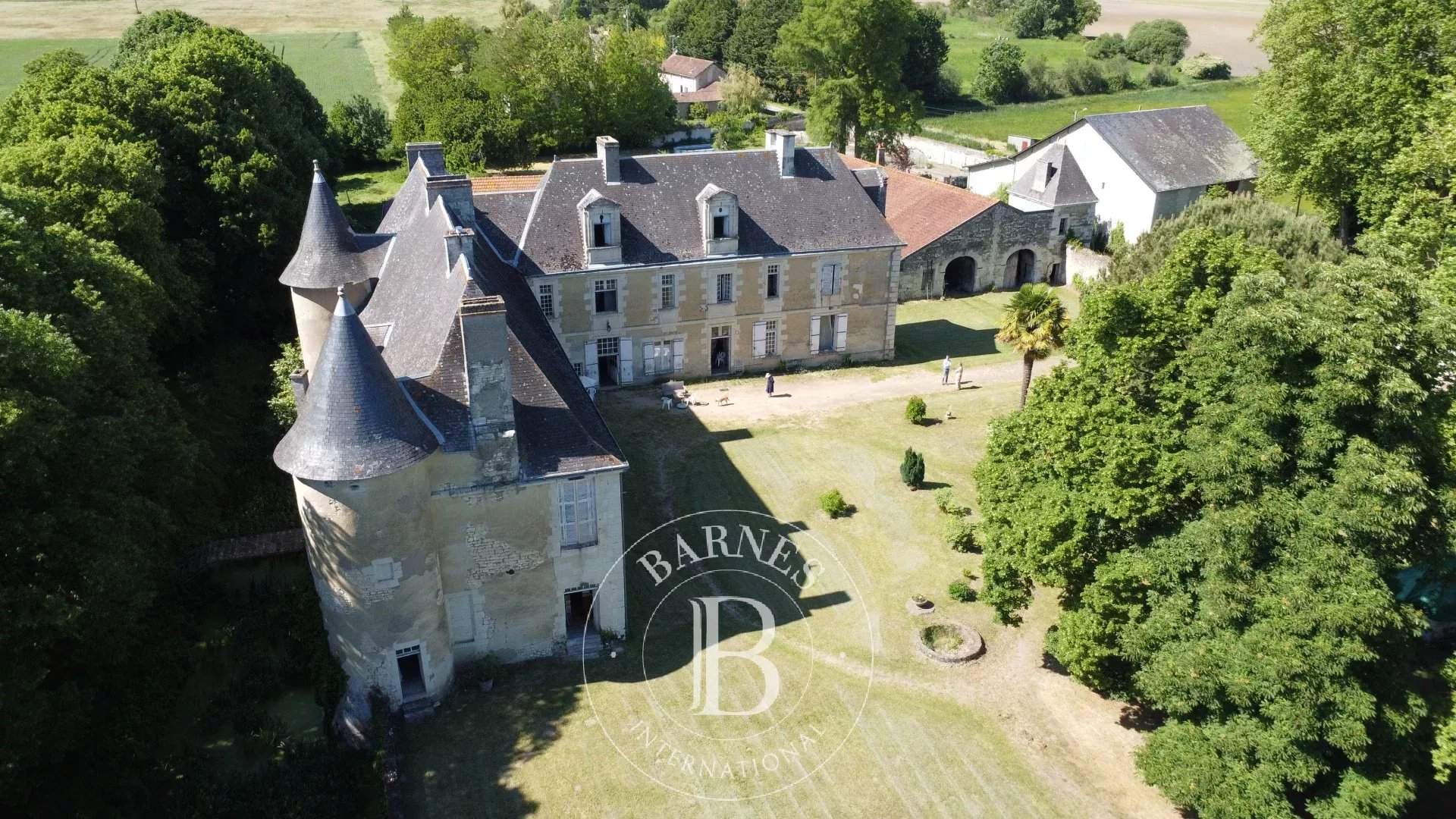 Châtellerault  - Château 18 Pièces 8 Chambres - picture 1
