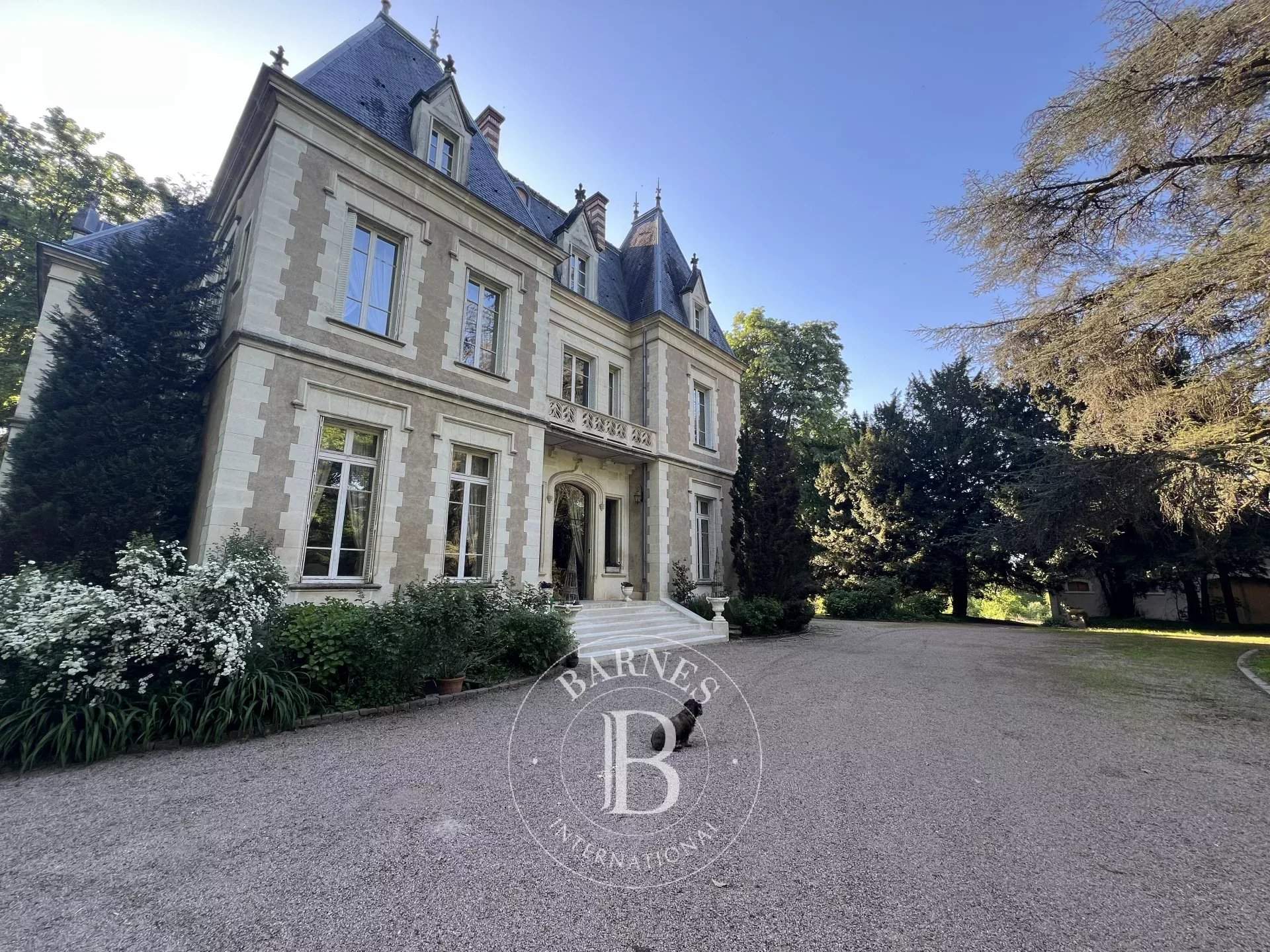 Tournus  - Château 20 Pi&egrave;ces 9 Chambres - picture 9