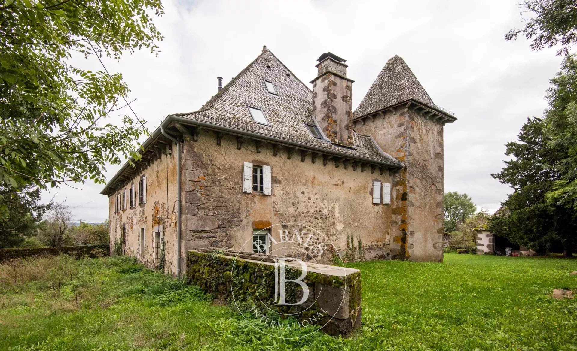 Mur-de-Barrez  - Château 13 Pi&egrave;ces 10 Chambres - picture 4