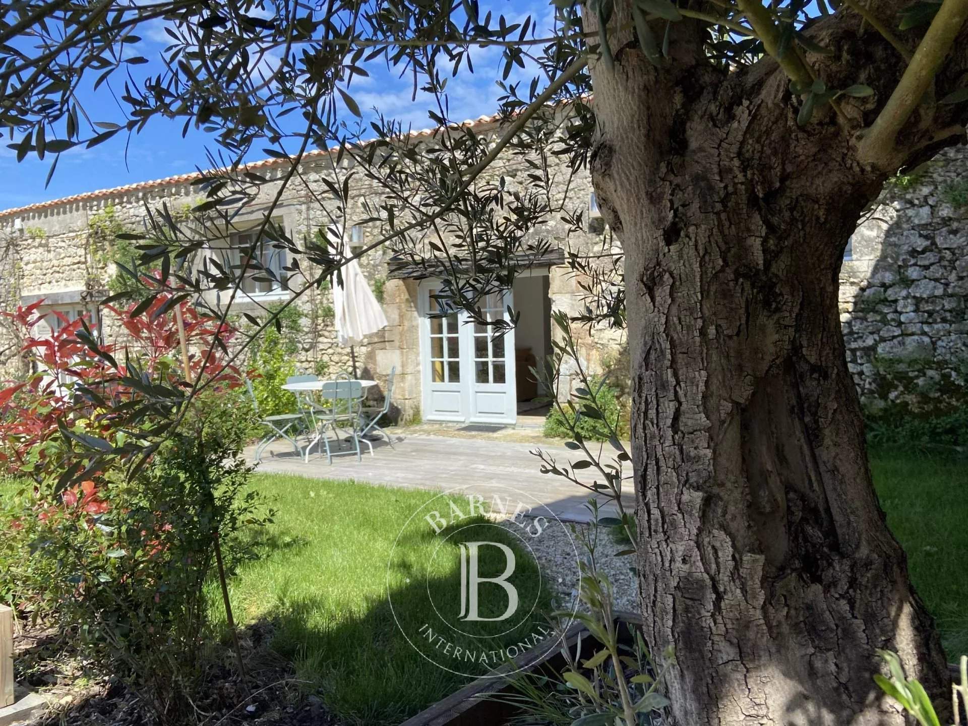 Royan  - Castle 21 Bedrooms - picture 11