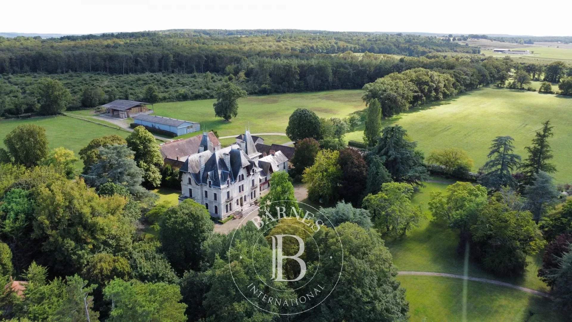 Châtellerault  - Castle 13 Bedrooms - picture 3