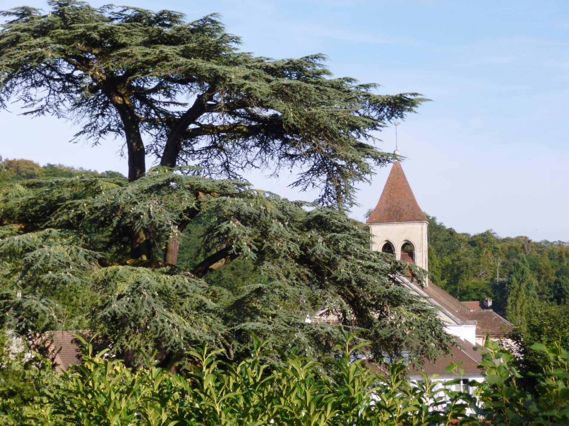 Saint-Prix  - Maison 14 Pi&egrave;ces 7 Chambres - picture 10