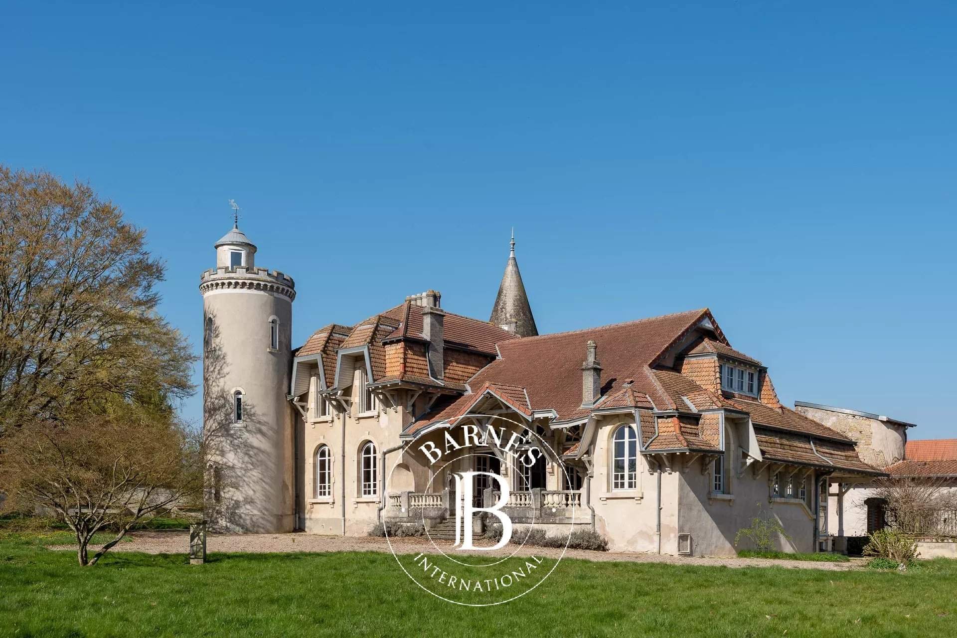 Belleau  - Château  - picture 3