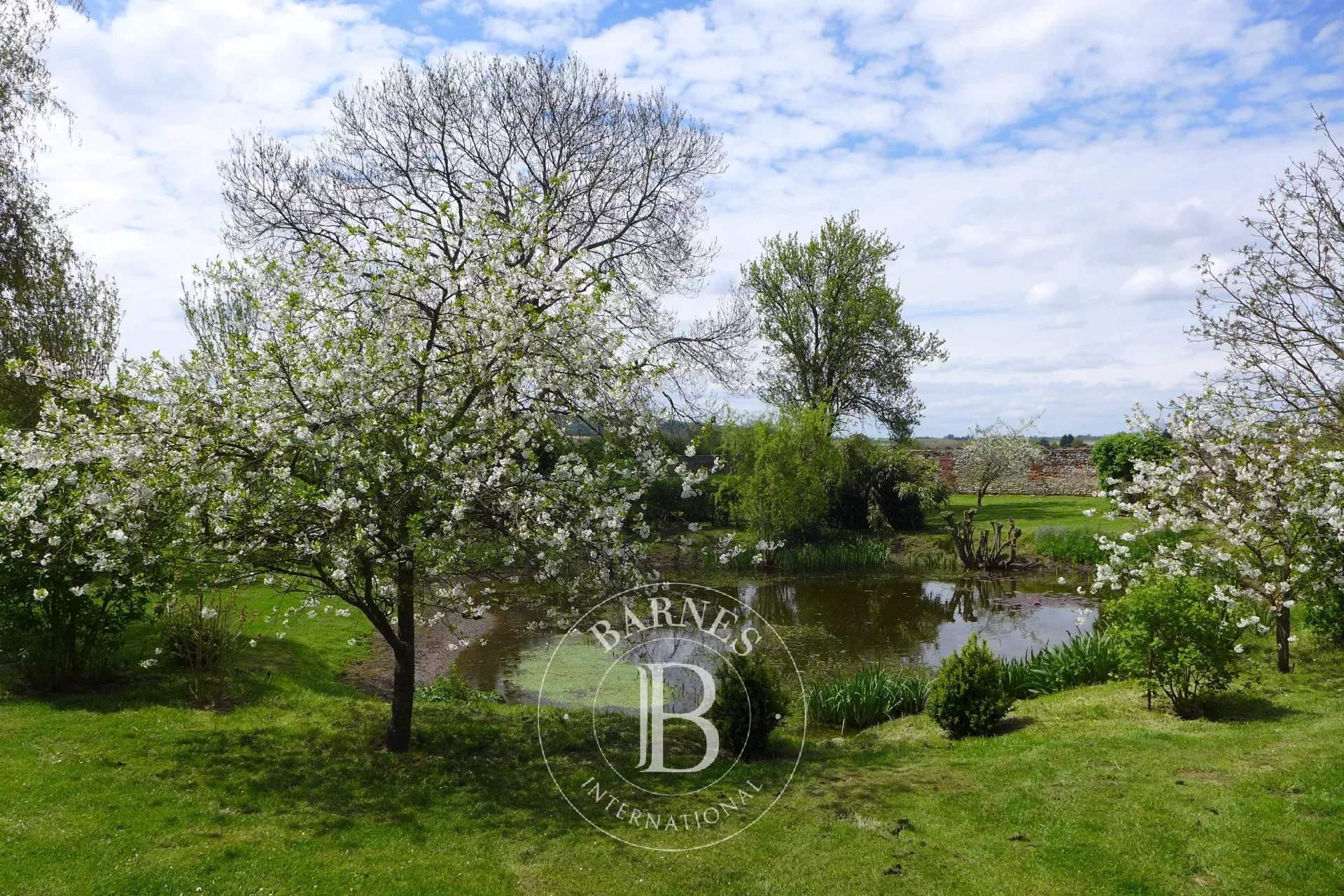 Ons-en-Bray  - Equestrian estate 4 Bedrooms - picture 4